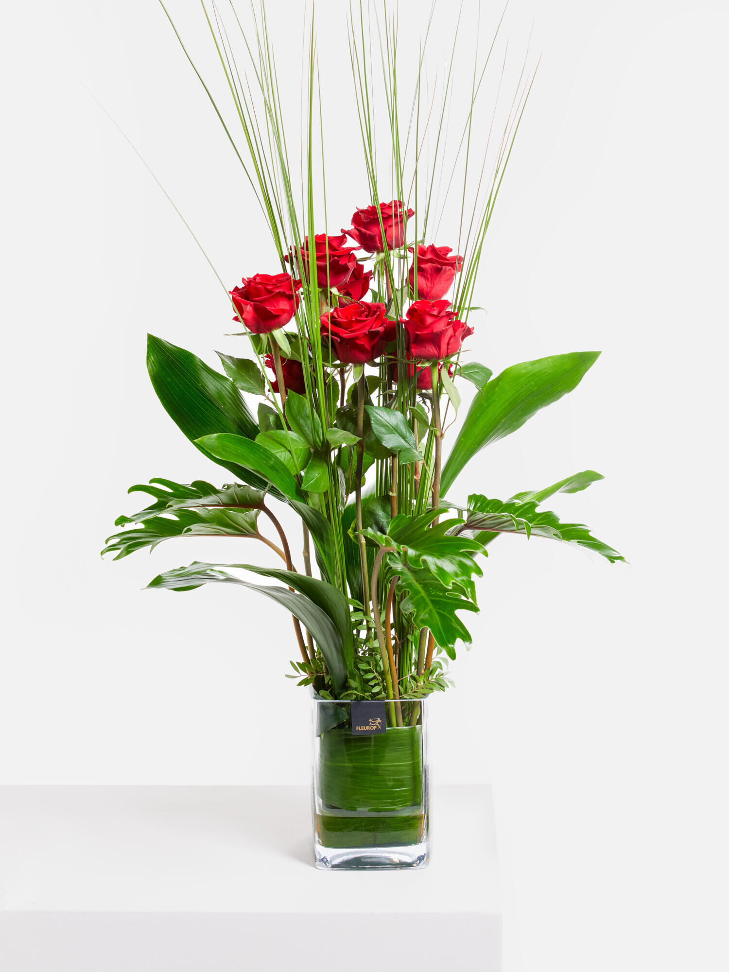 Rosenflammen