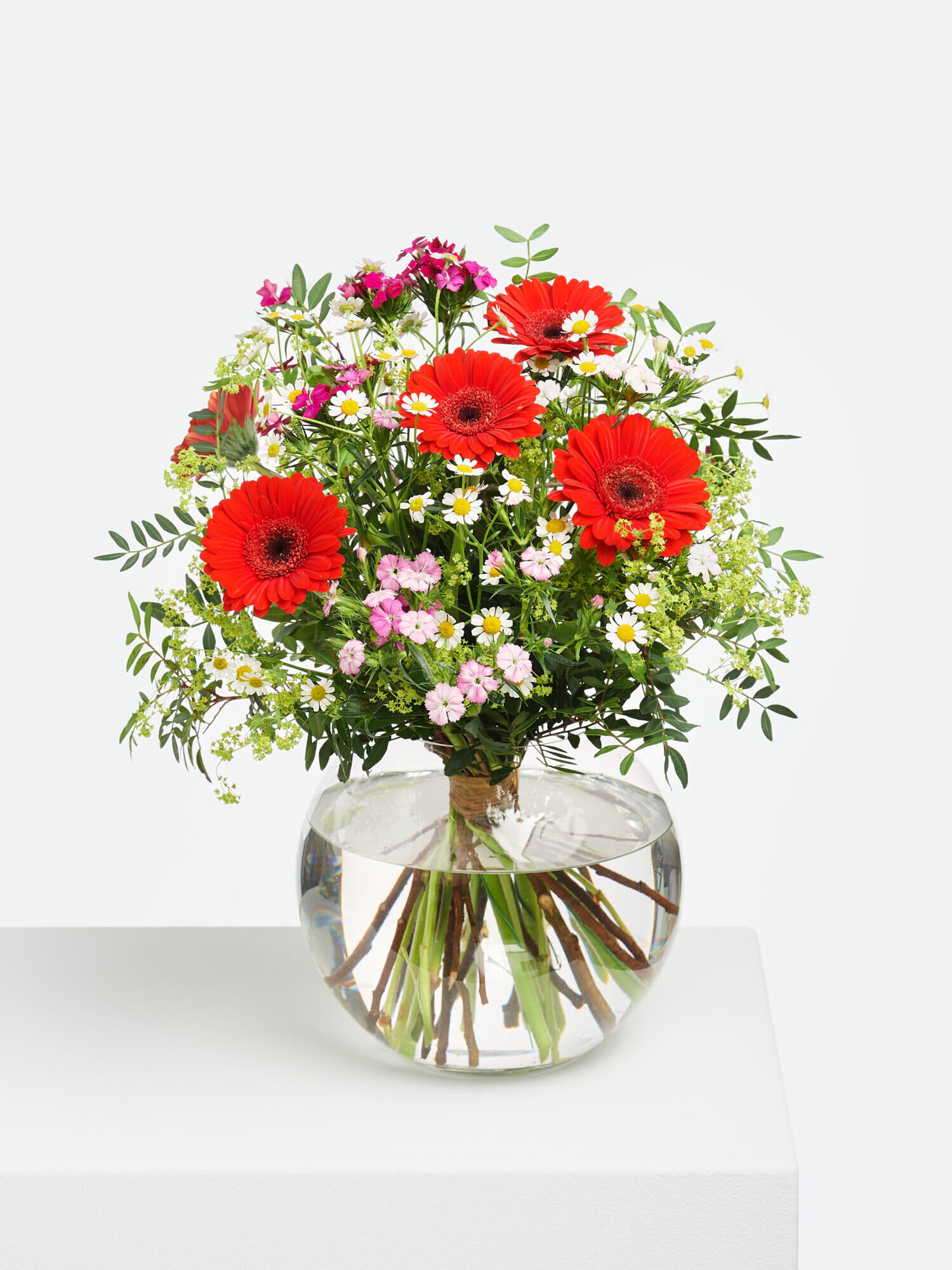 Strauß der Woche - Hauptblüte: Germini - Hauptfarbe: Rosa, Rot