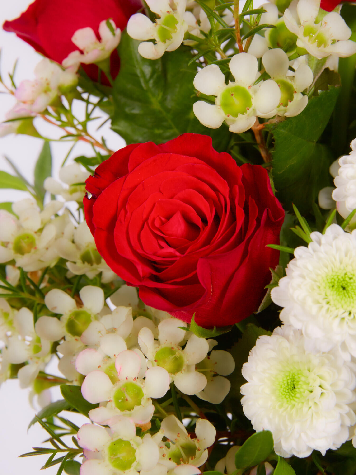 Strauß der Woche - Hauptblüte: Rosen - Hauptfarbe: Rot, Weiß