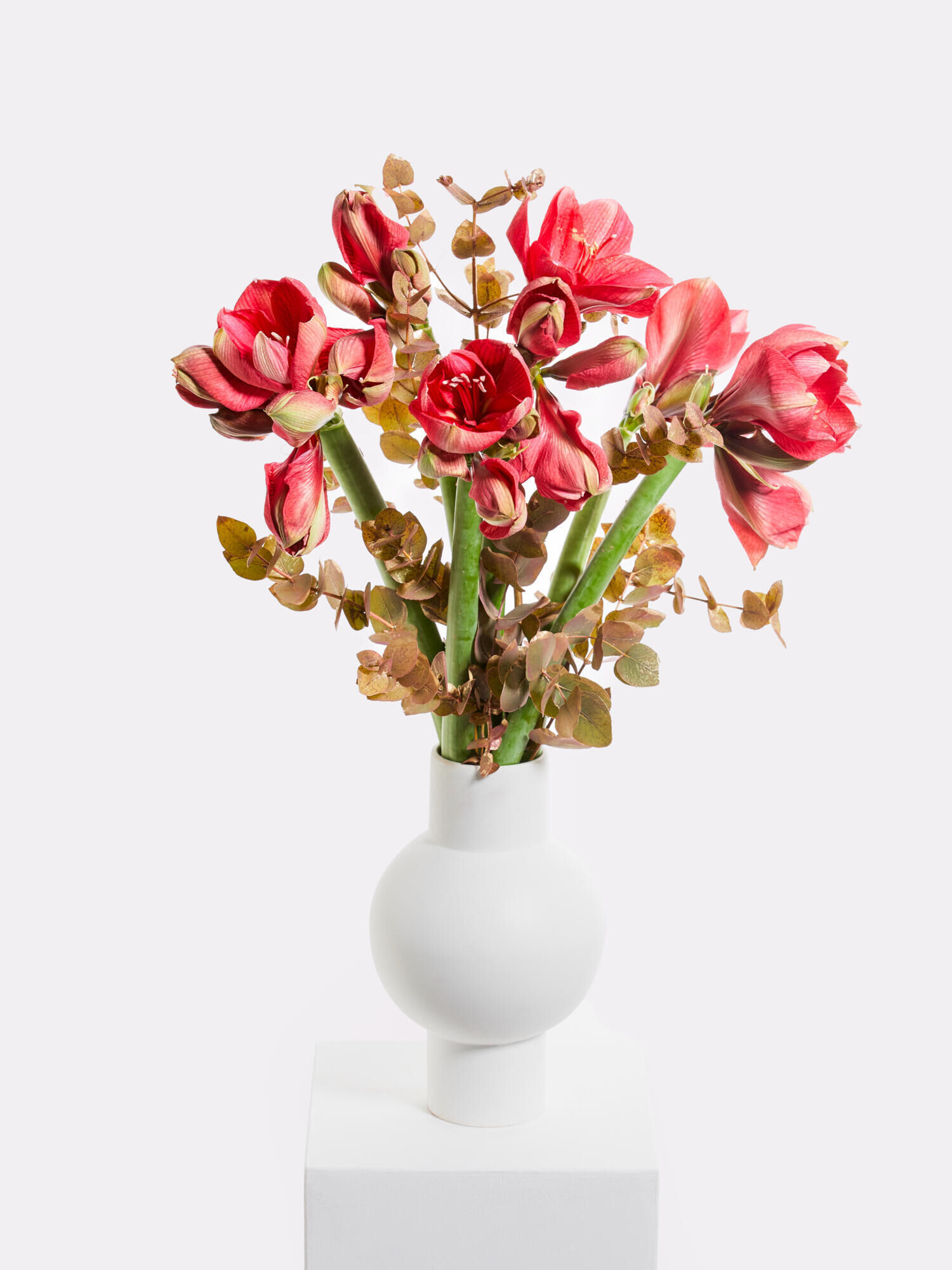 Winter Fairy Tale - Main Colors: GOLD, PINK, ROSE - Main Flowers: AMARYLLIS