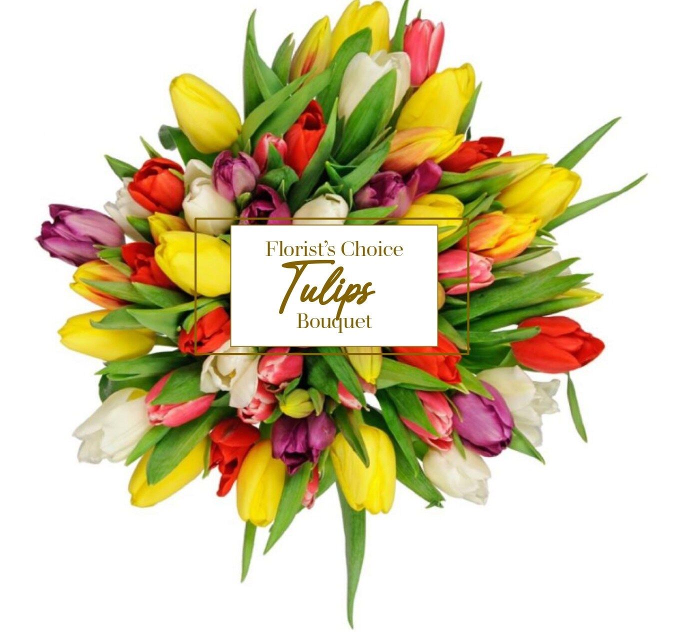 Tulips Florist Choice Bouquet