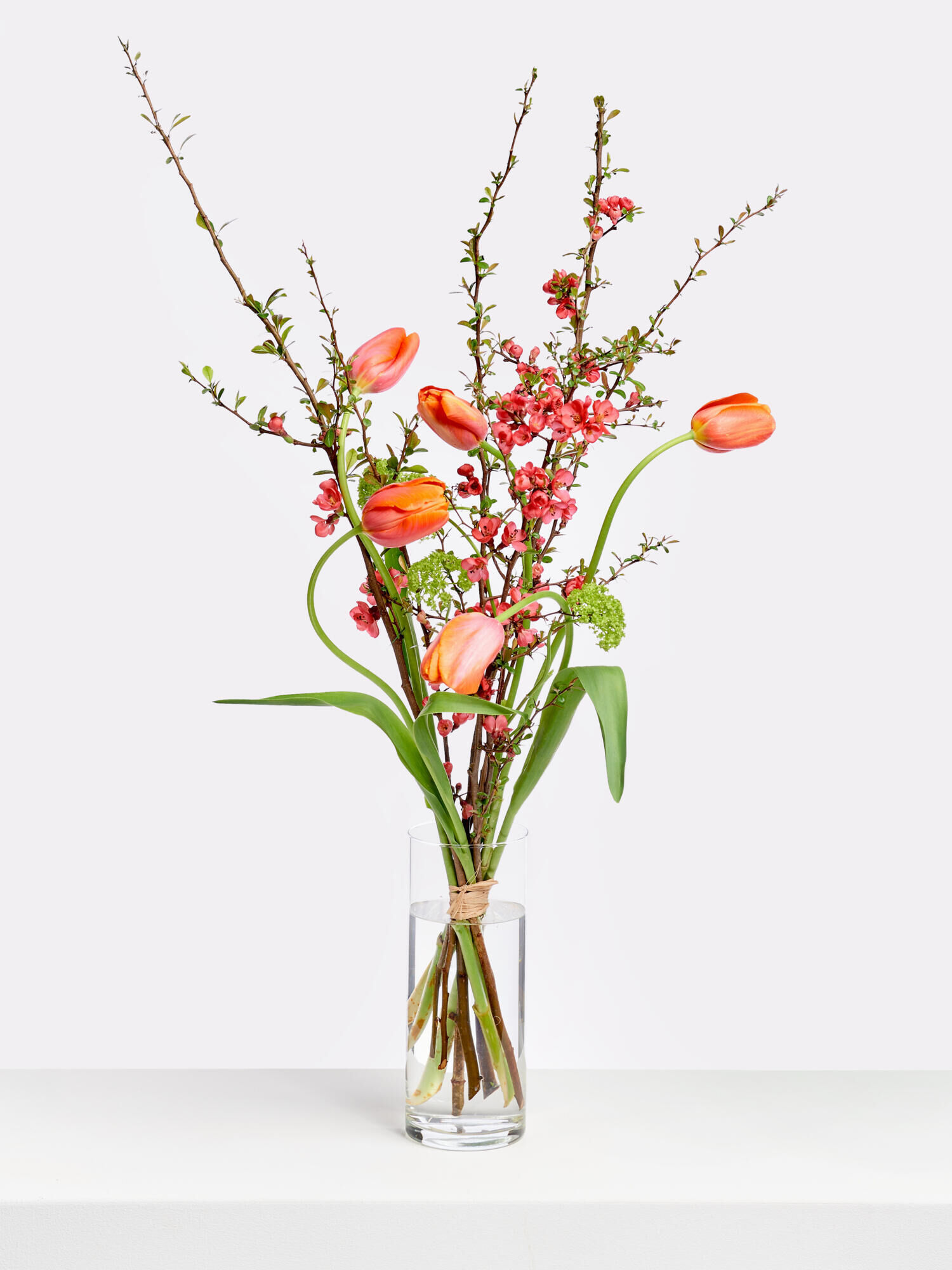 Good Feeling - Hauptblüte: Tulpen - Hauptfarbe: Apricot