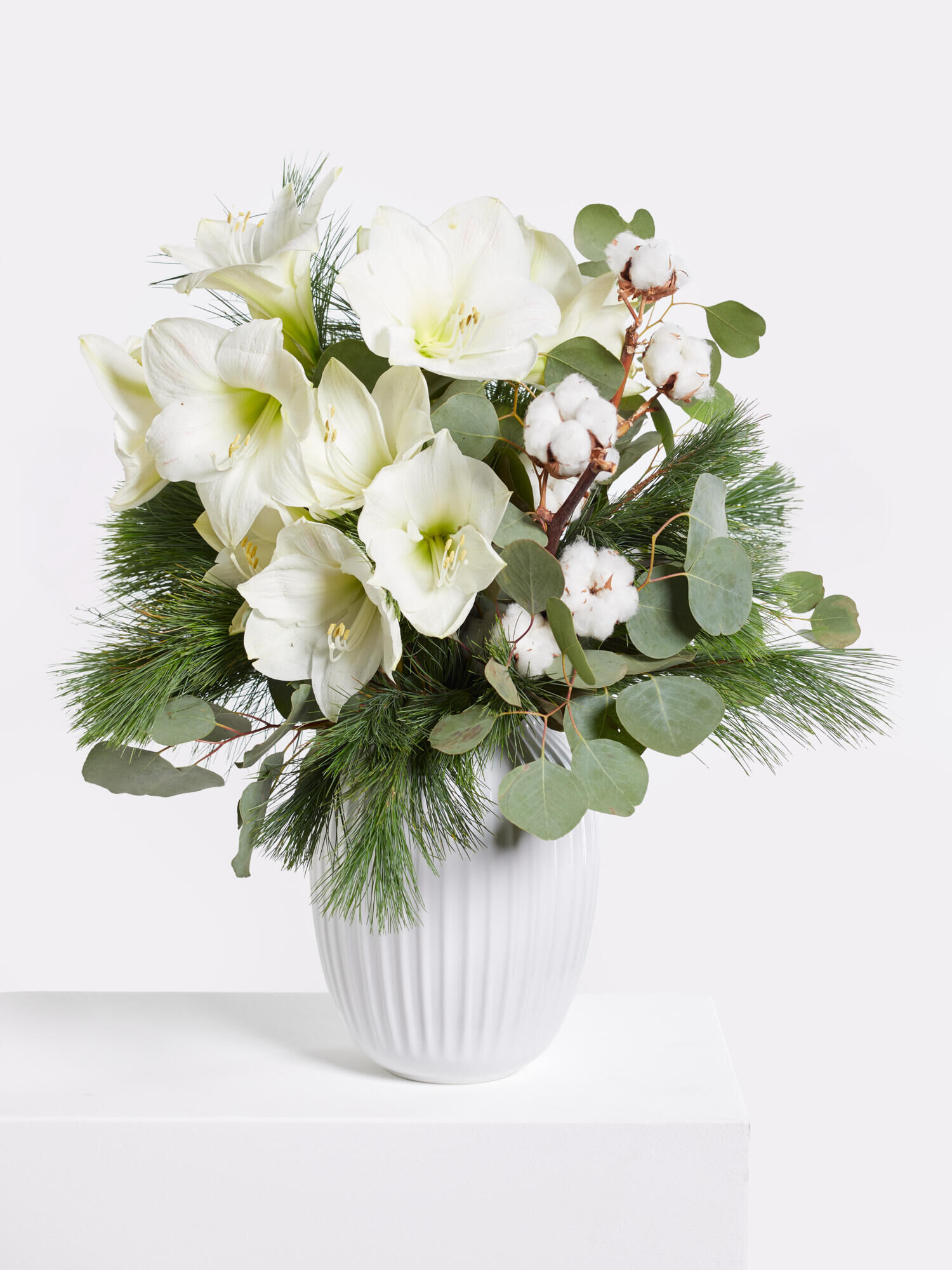 Magic White - Main Colors: WHITE - Main Flowers: AMARYLLIS