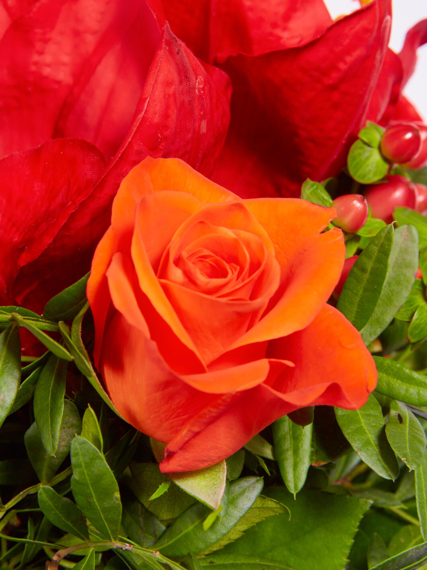 Strauß der Woche - Hauptblüte: Amaryllis, Rosen - Hauptfarbe: Orange, Rot