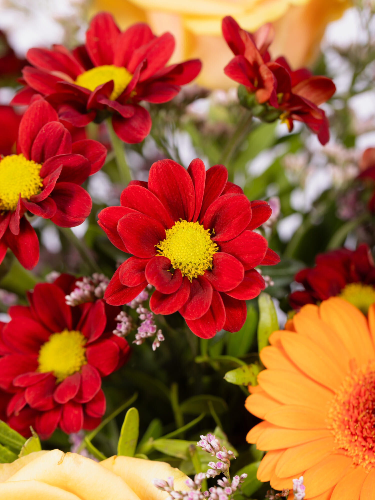Strauß der Woche - Hauptfarbe: Bunt