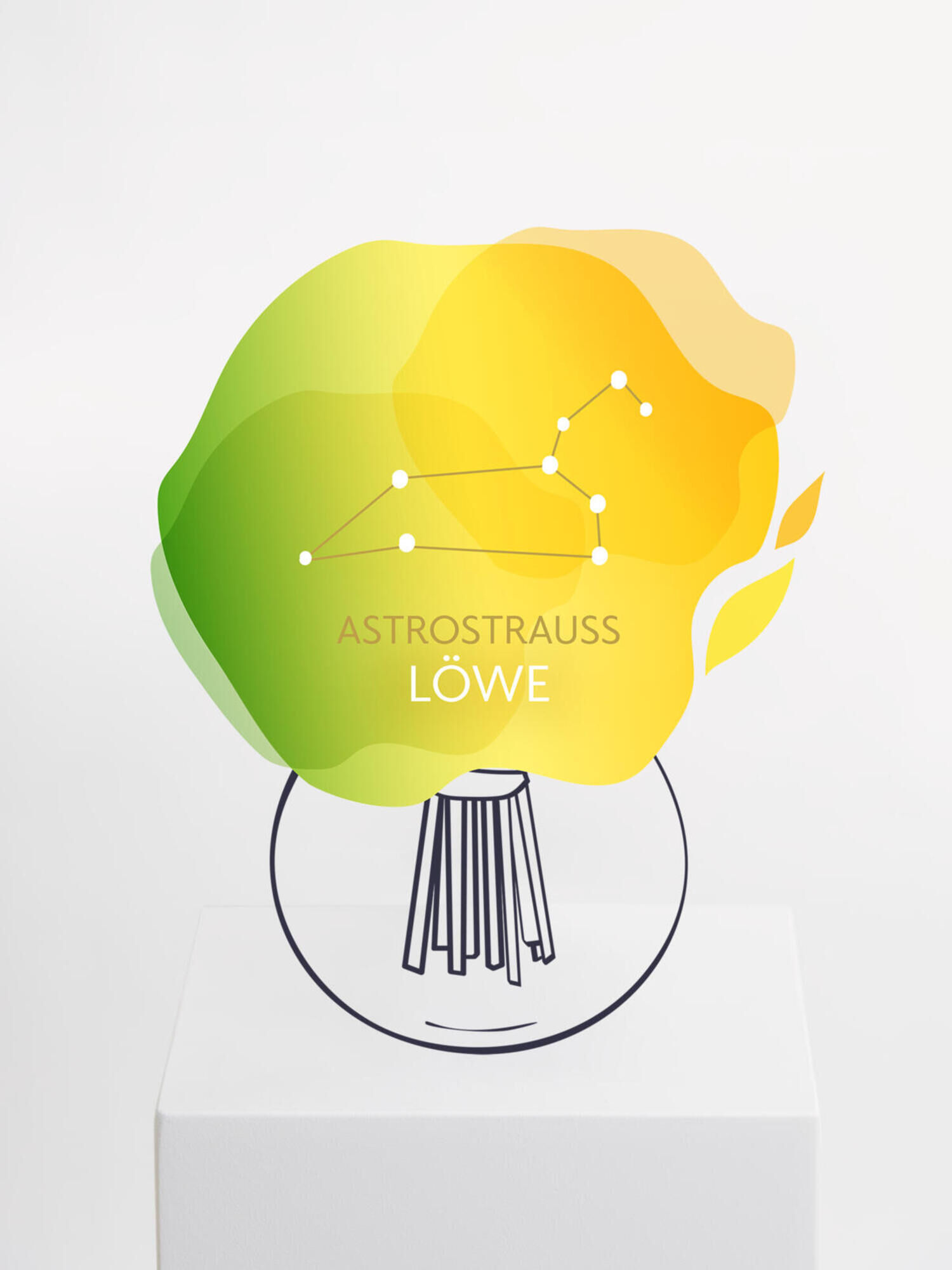 Astrostrauß Löwe