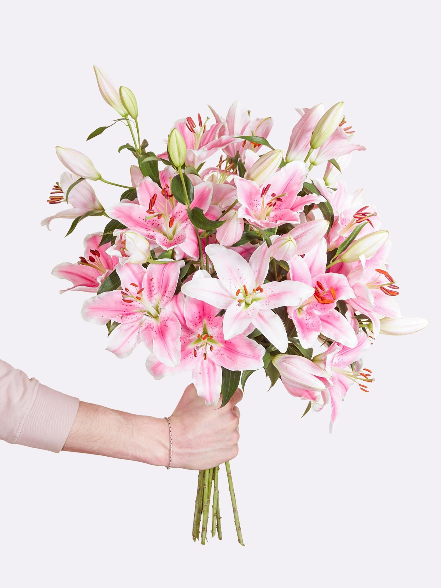 Pink Stars - Hauptblüte: Lilien - Hauptfarbe: Rosa