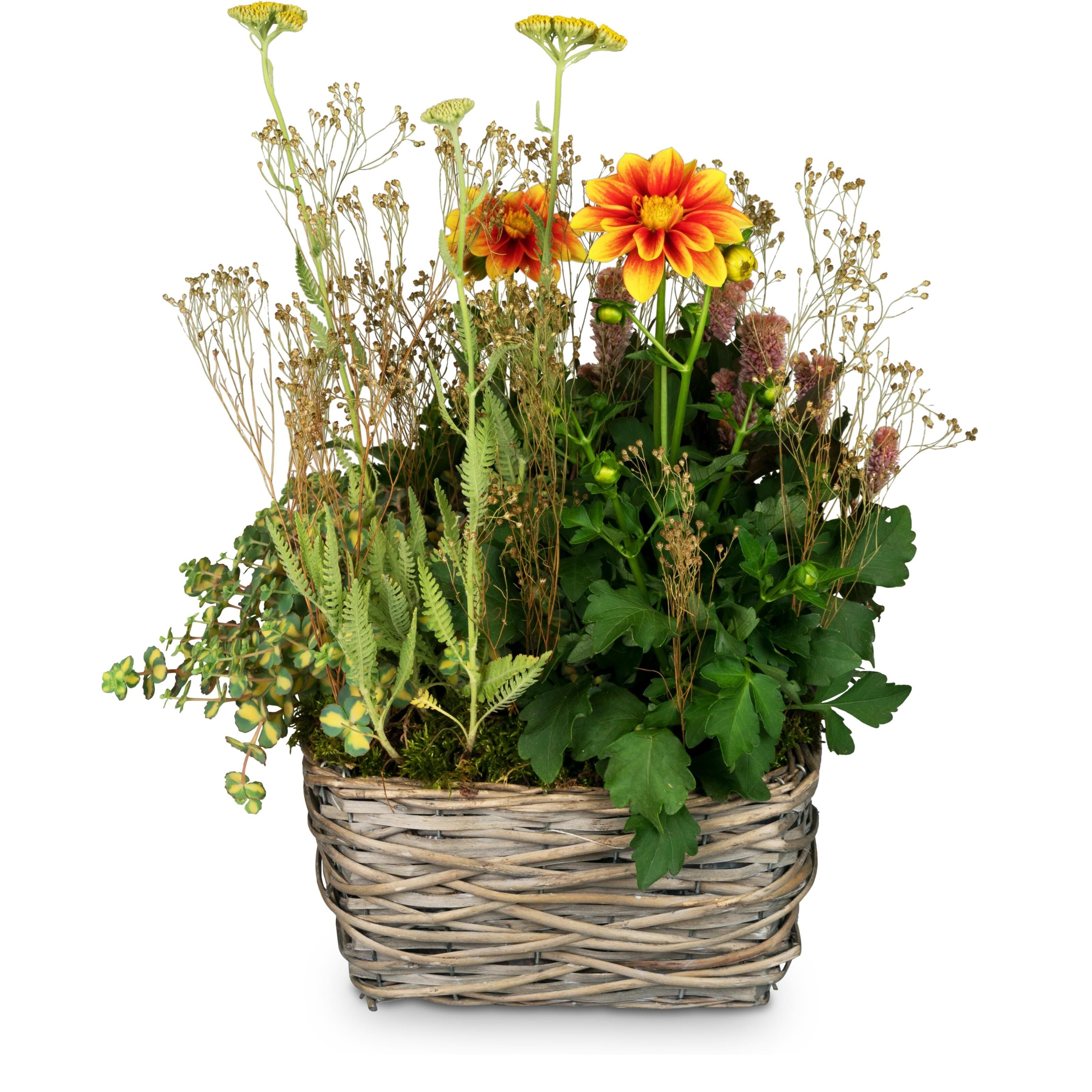 Planter 'In Gratitude' for the cemetery
