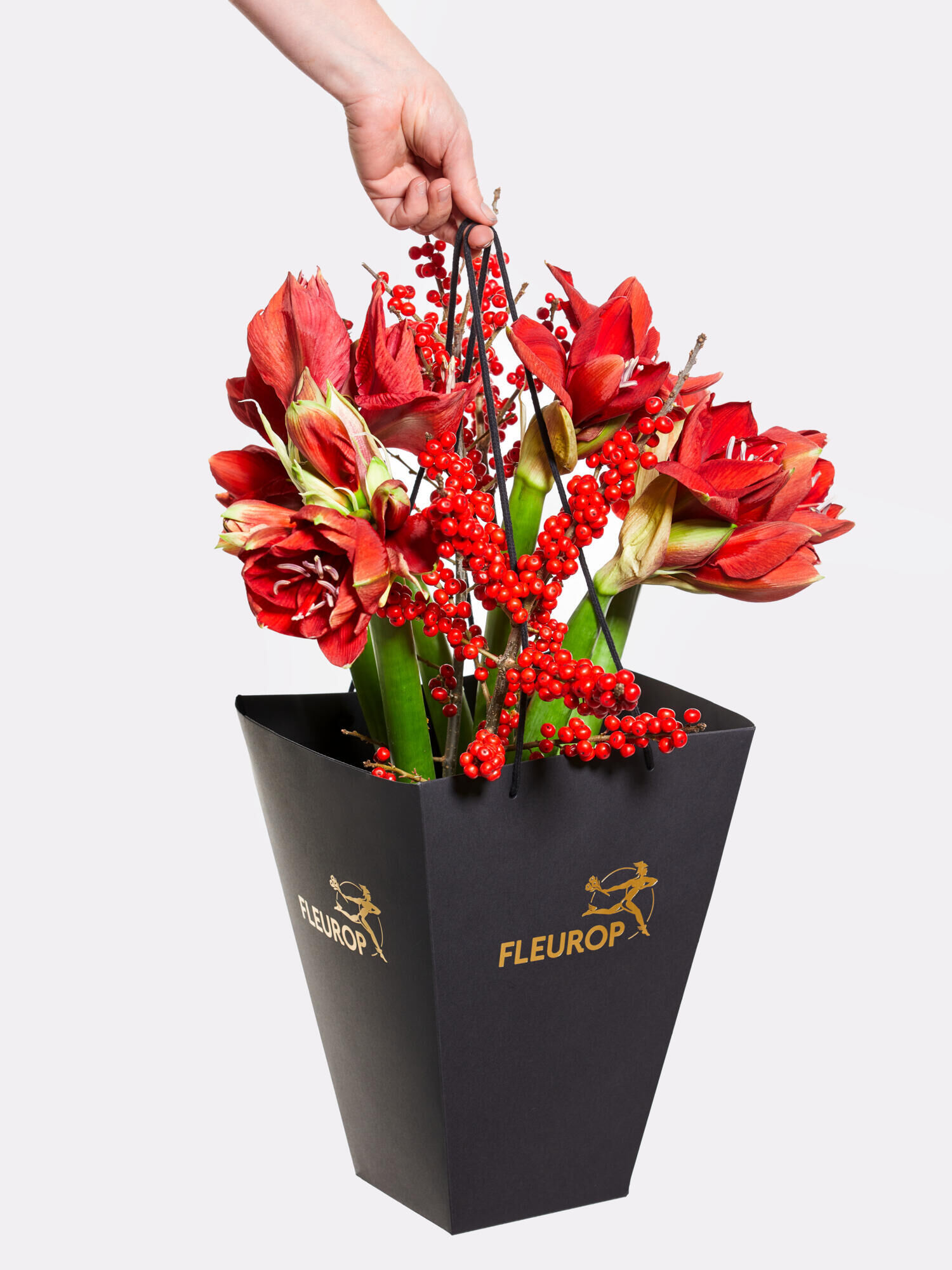 Red Amaryllis Dream - Main Colors: RED - Main Flowers: AMARYLLIS