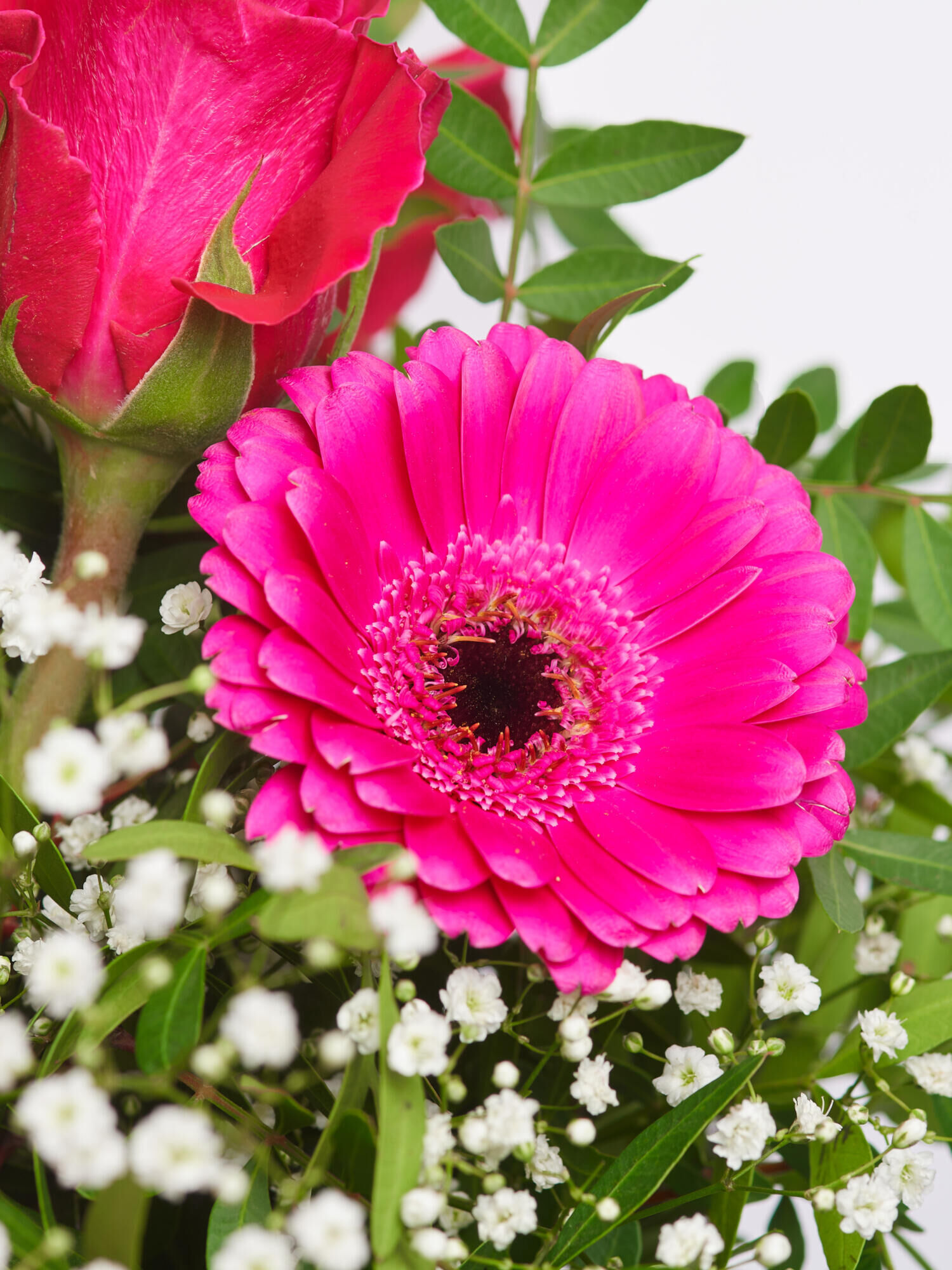 Strauß der Woche - Hauptblüte: Germini, Rosen - Hauptfarbe: Pink, Rosa