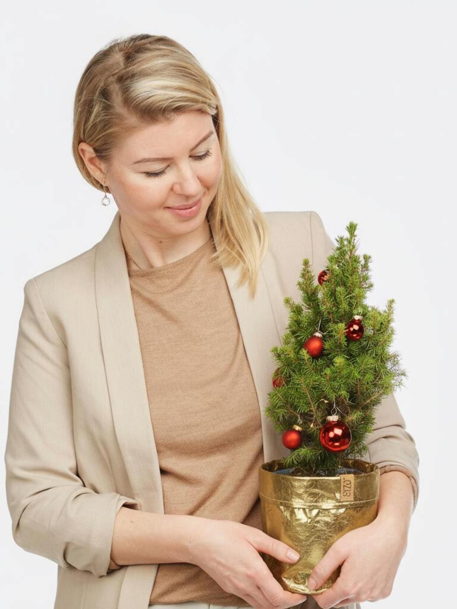 Zauberhafte Weihnachtsgrüße Zauberhafte Weihnachtsgrüße