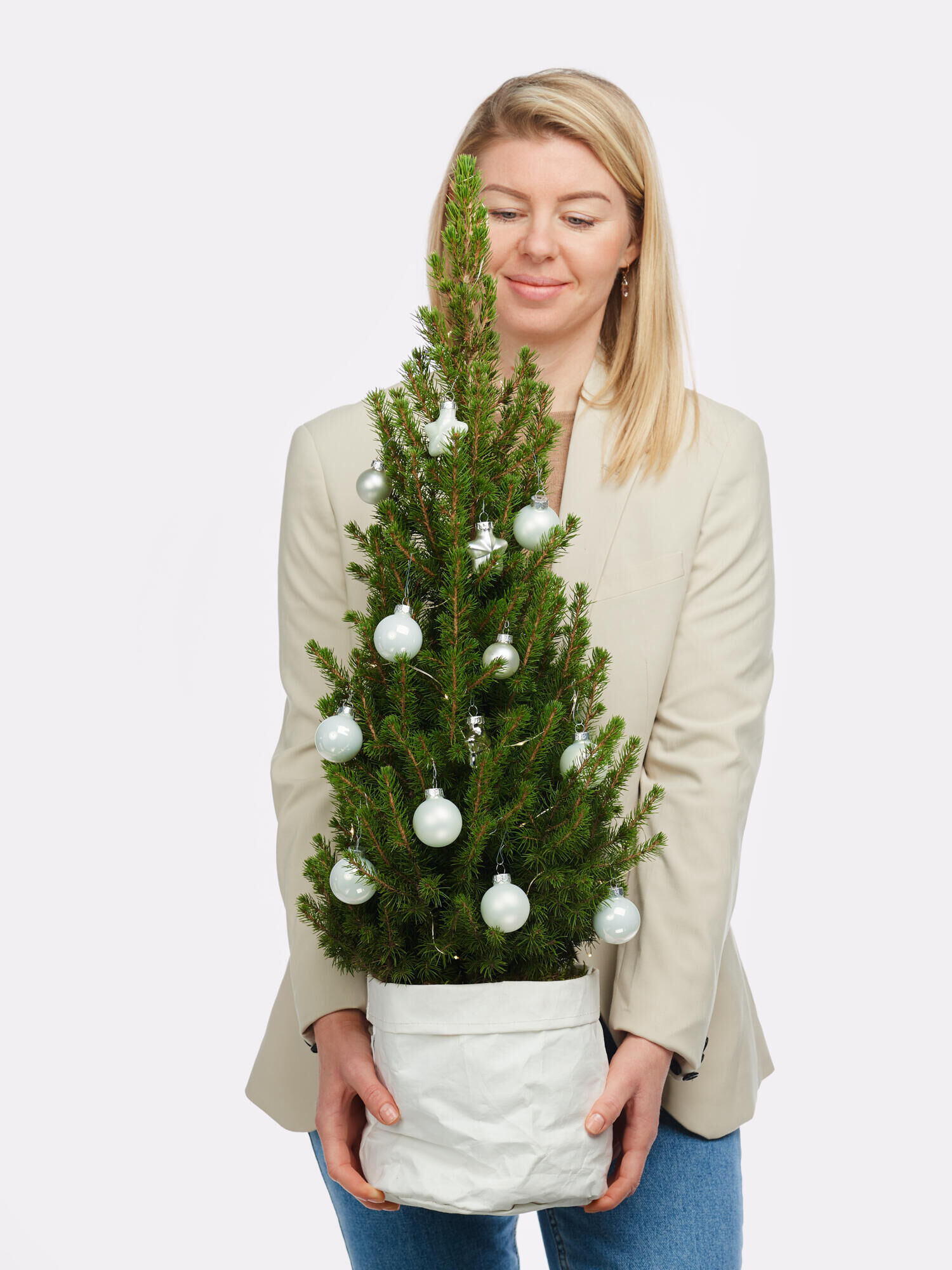 Weihnachtsglanz Weihnachtsglanz