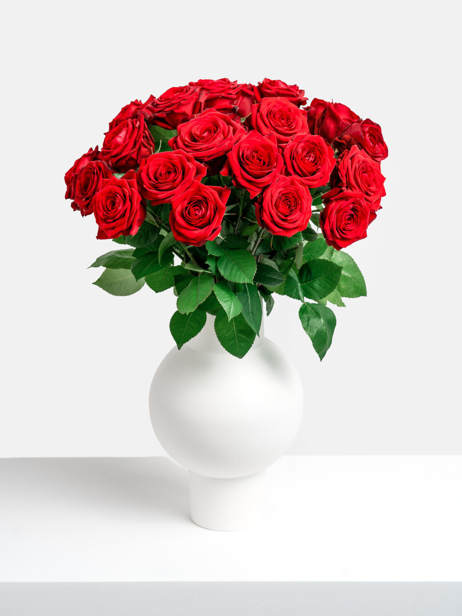 Rosenkavalier - Hauptblüte: Rosen - Hauptfarbe: Rot