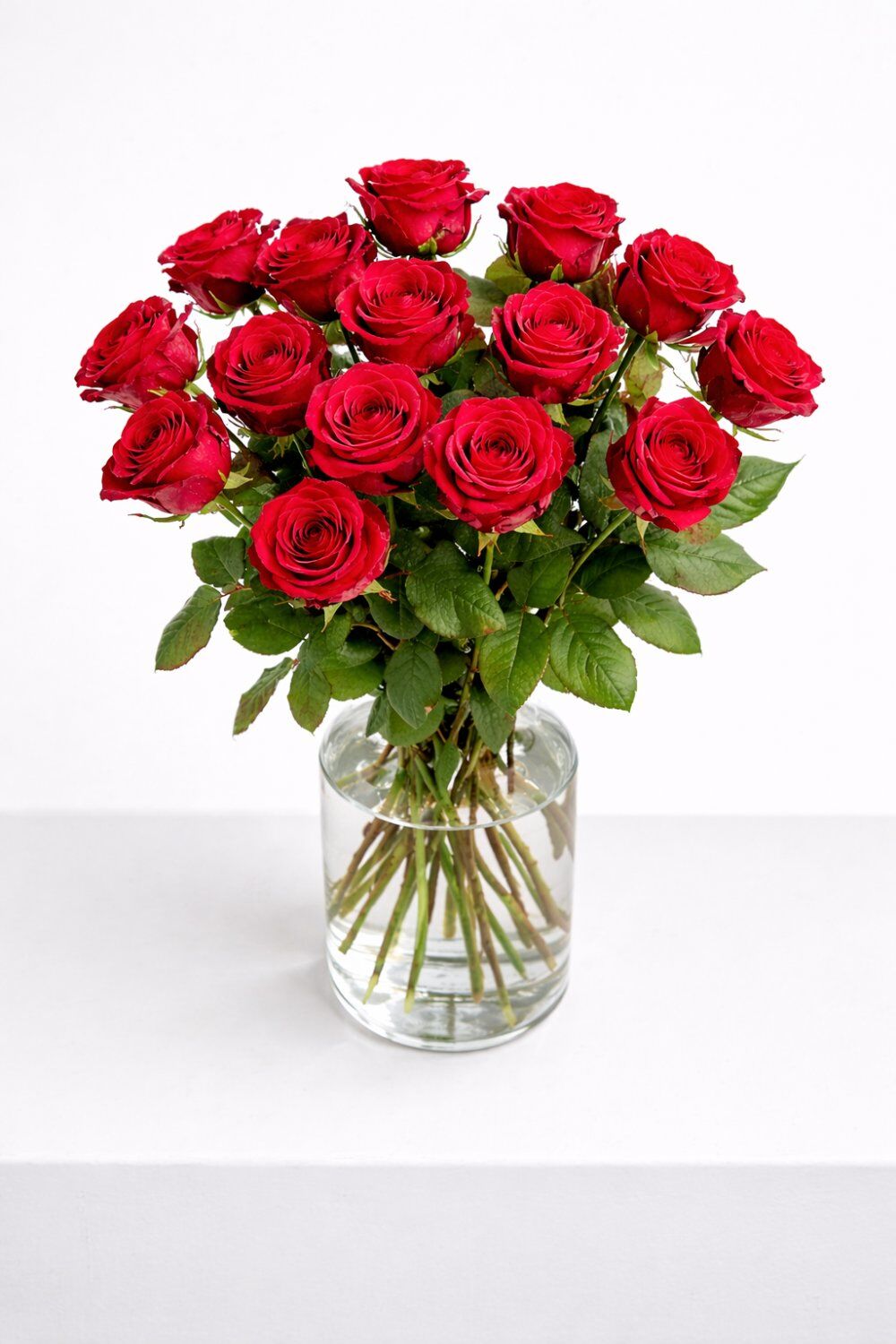 Rote Rosen  - Hauptblüte: Rosen - Hauptfarbe: Rot