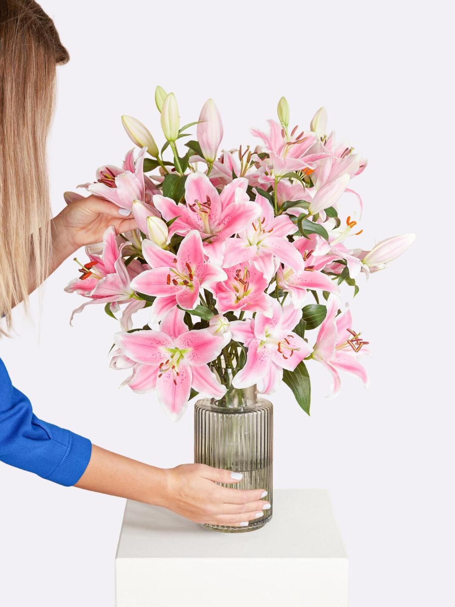 Pink Stars - Hauptblüte: Lilien - Hauptfarbe: Rosa