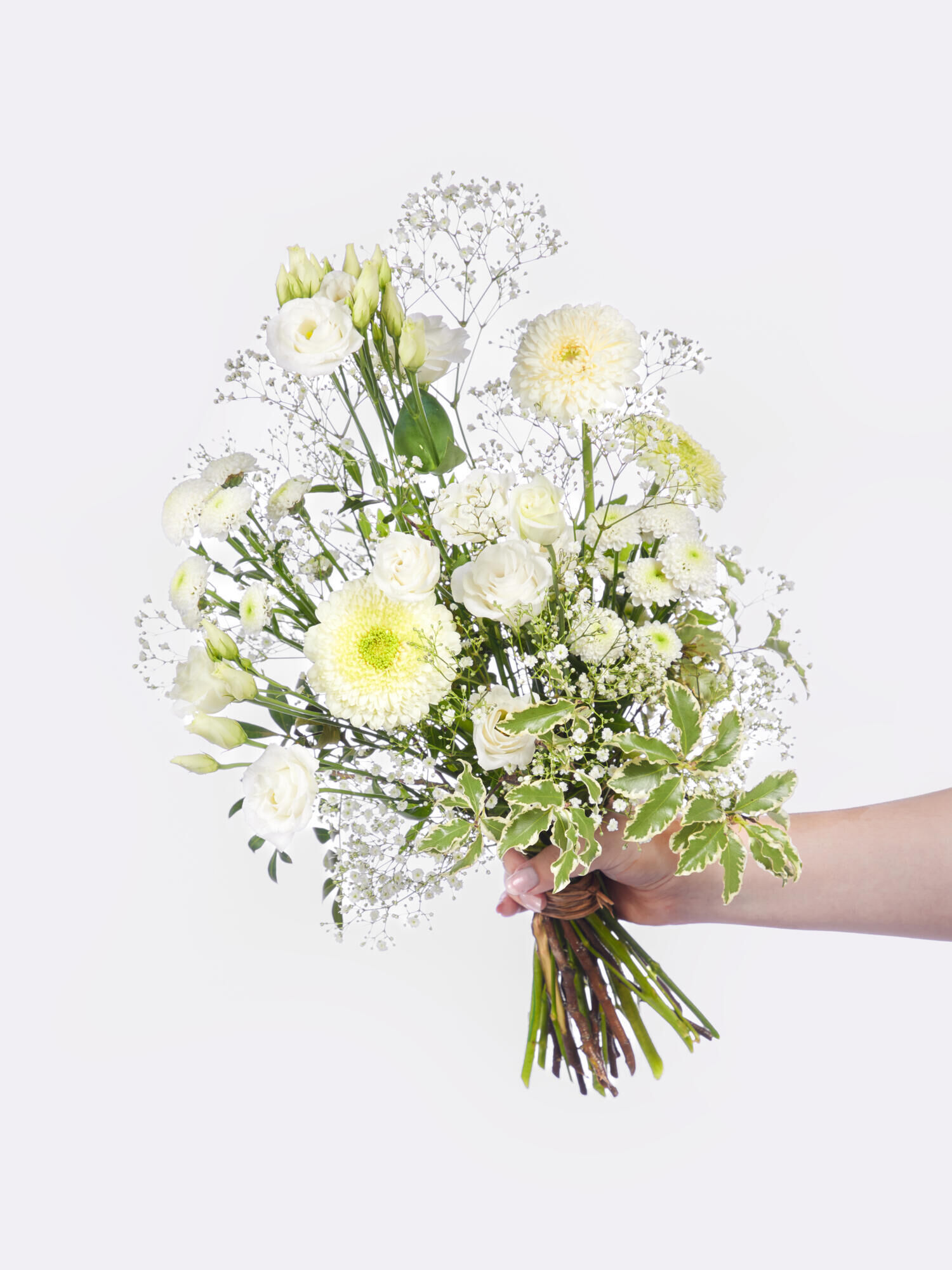 Strauß der Woche - Hauptblüte: Chrysanthemen, Eustoma, Germini - Hauptfarbe: Weiß