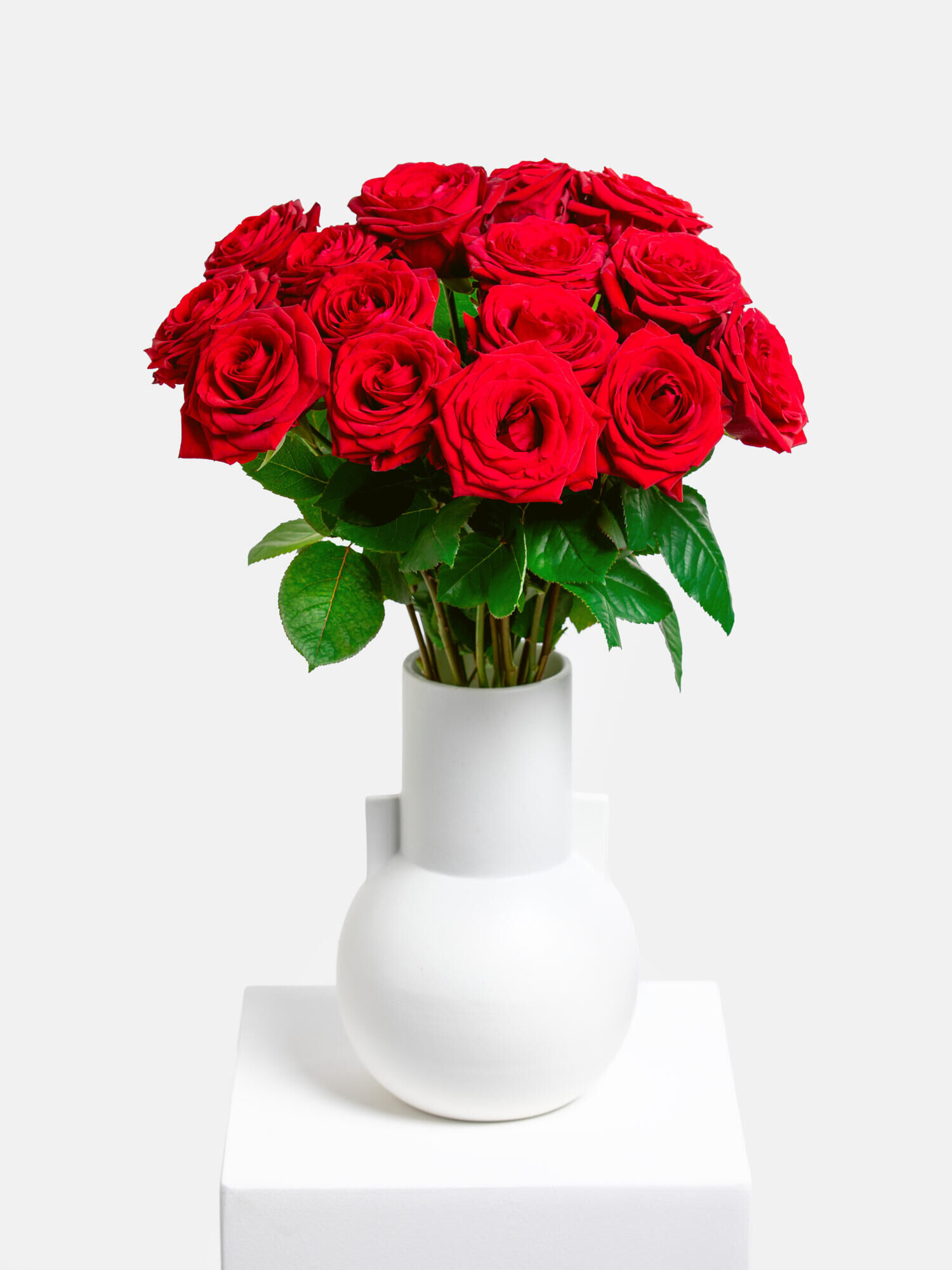 Rosenwunder - Hauptblüte: Rosen - Hauptfarbe: Rot