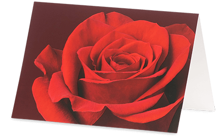 Grußkarte mit einer roten Rose