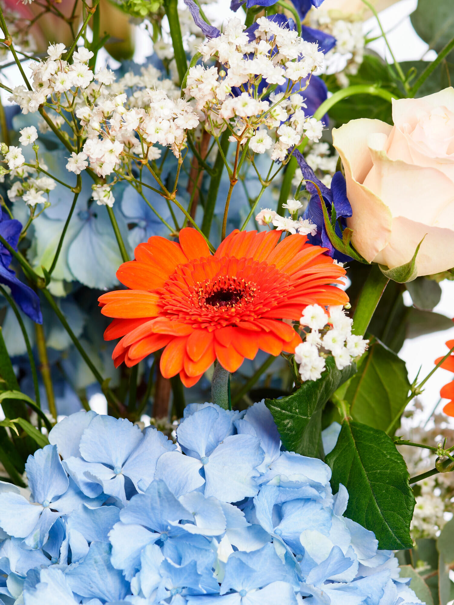 For my everyday hero - Main Colors: BLUE, ORANGE, ROSE - Main Flowers: GERBERA, HYDRANGEA, LILIES, ROSES