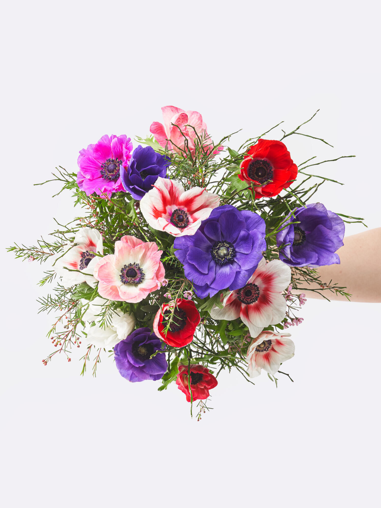 Farbenpracht - Hauptfarbe: Pink, Rot, Violett, Weiß