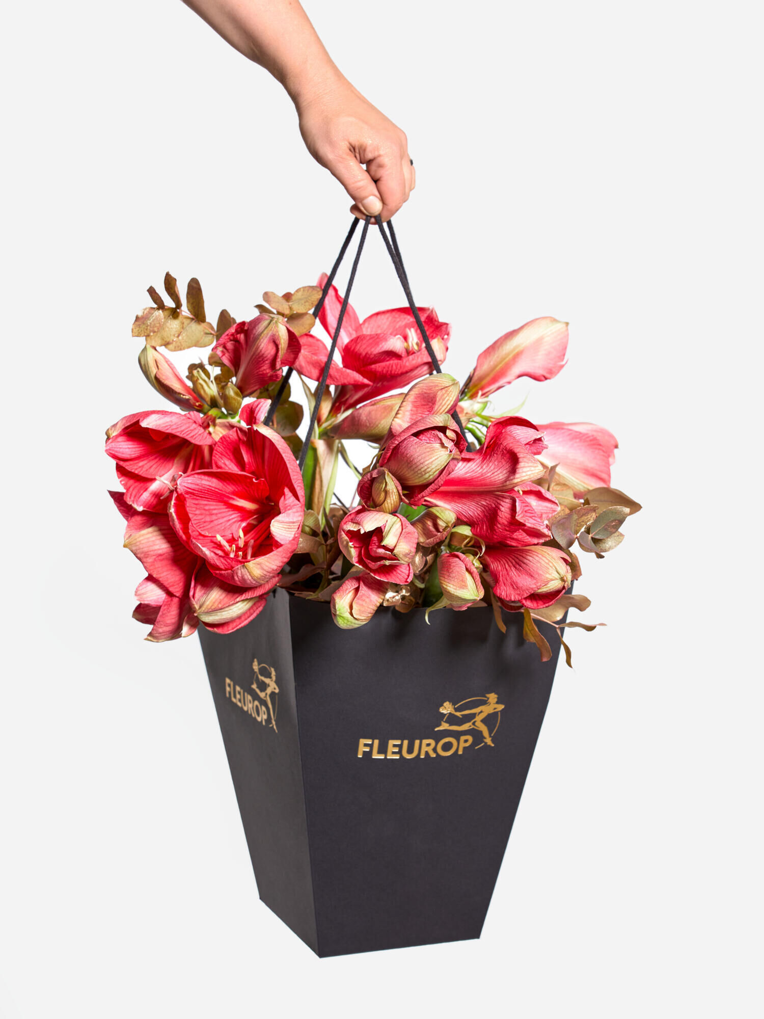 Winter Fairy Tale Winter Fairy Tale - Main Colors: GOLD, PINK - Main Flowers: AMARYLLIS