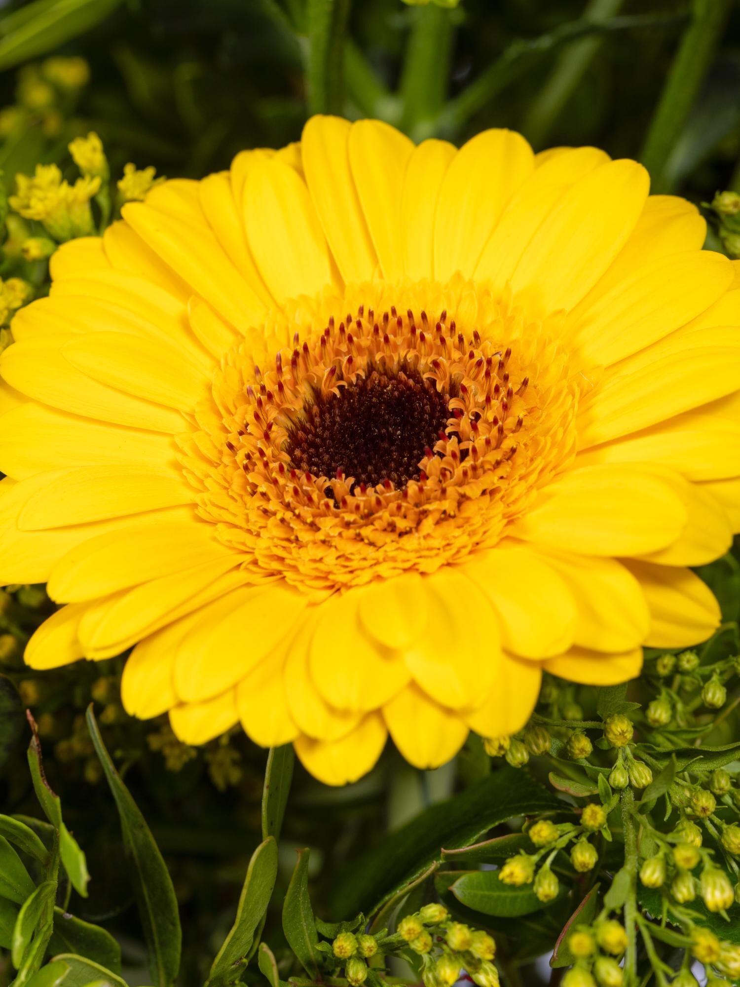 Strauß der Woche - Hauptblüte: Germini - Hauptfarbe: Gelb, Weiß