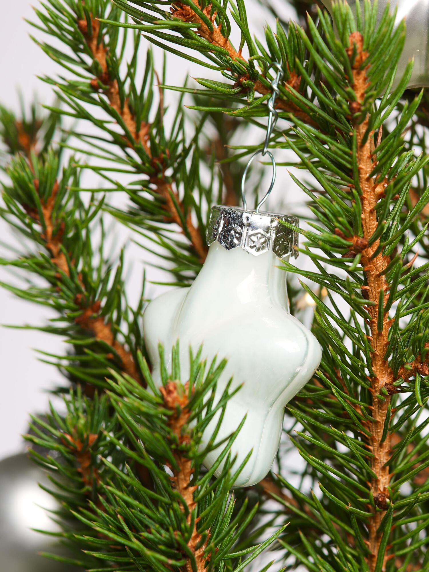 Weihnachtsglanz Weihnachtsglanz