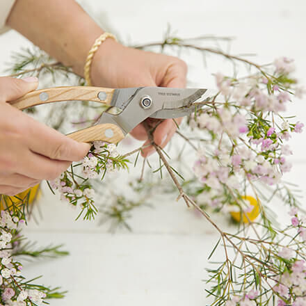Zwei Hände schneiden mit Hilfe einer Floristenschere Waxflower Zuschnitte zu.