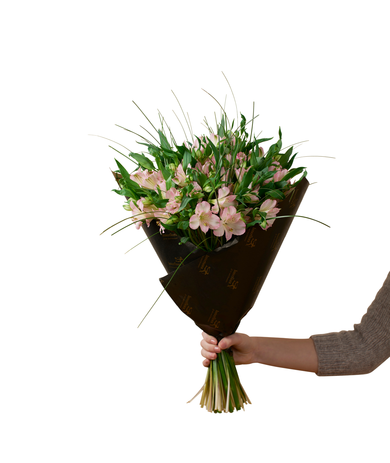 Gorgeous Pink Alstromeria 242634