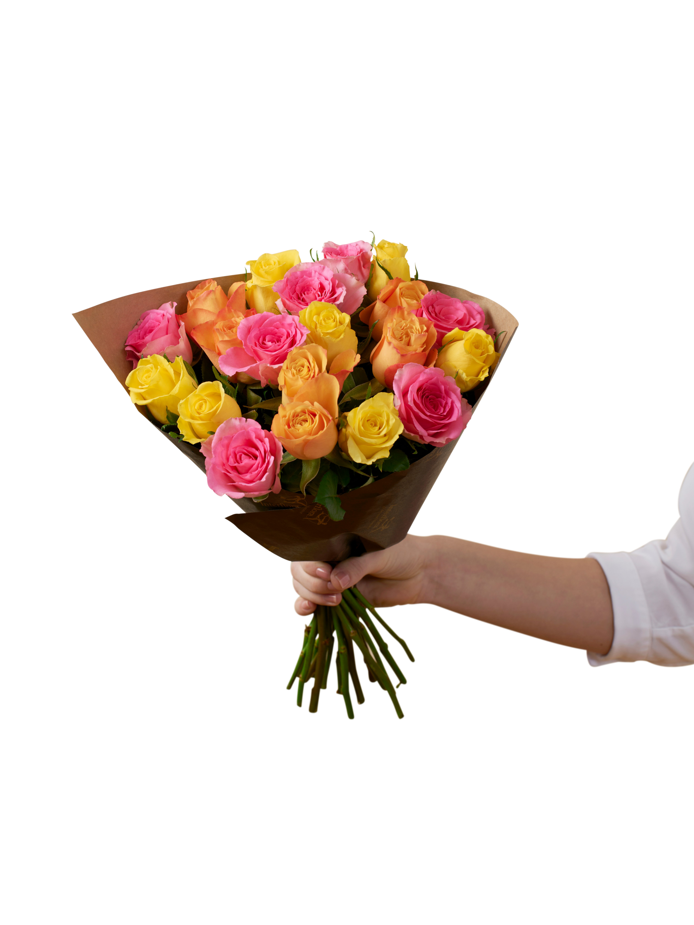 Roses for Spring 242626