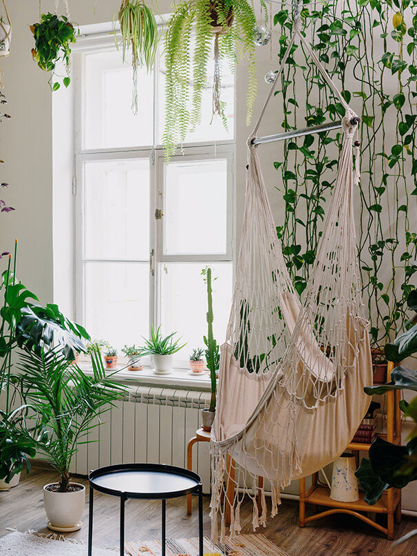 Wohnzimmer mit vielen luftreinigenden Zimmerpflanzen