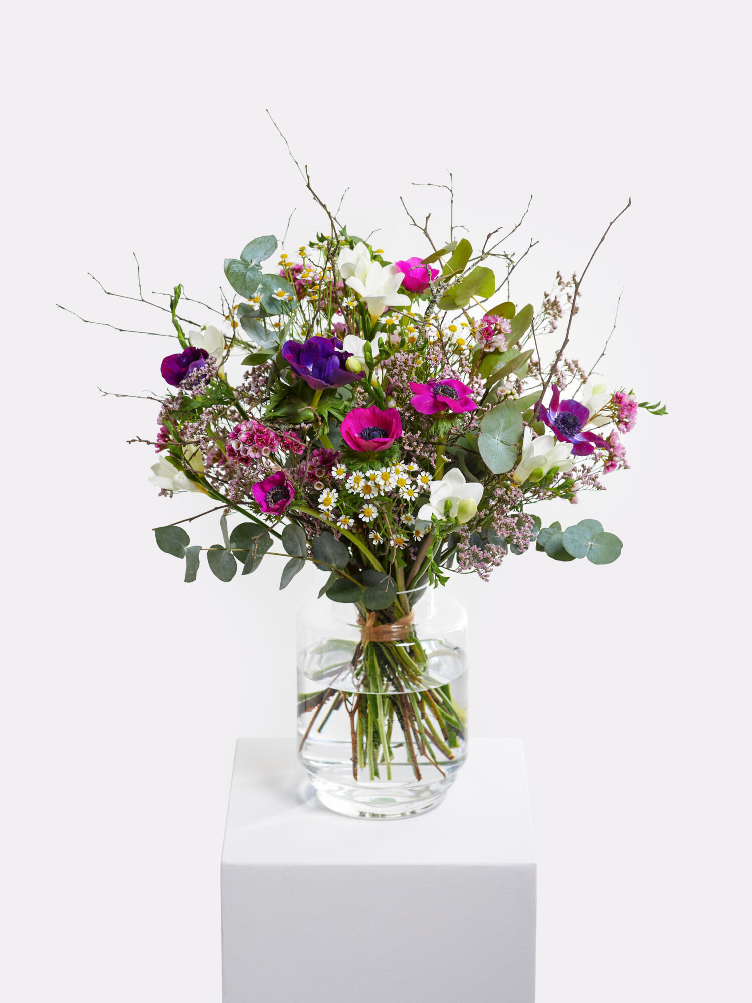 Erster Frühlingsmorgen - Hauptblüte: Freesien - Hauptfarbe: Pink, Violett, Weiß