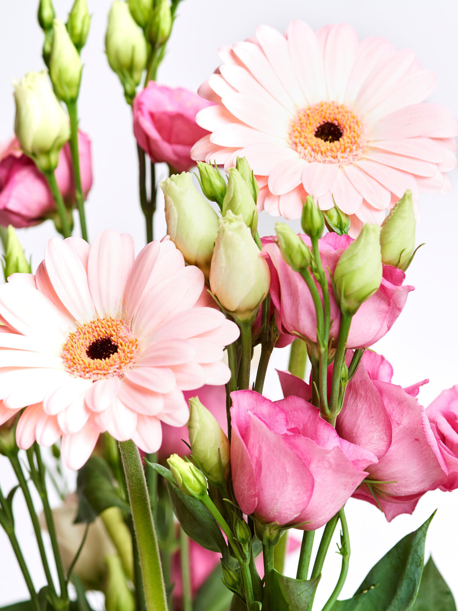 Flower Greeting for Women's Day