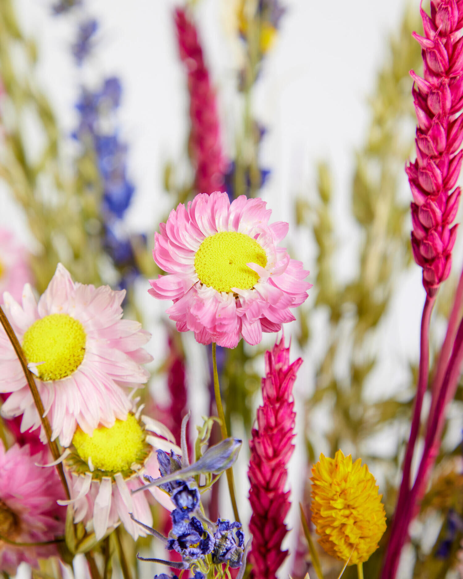 Bunter Wildblumenstrauß - Hauptfarbe: Bunt