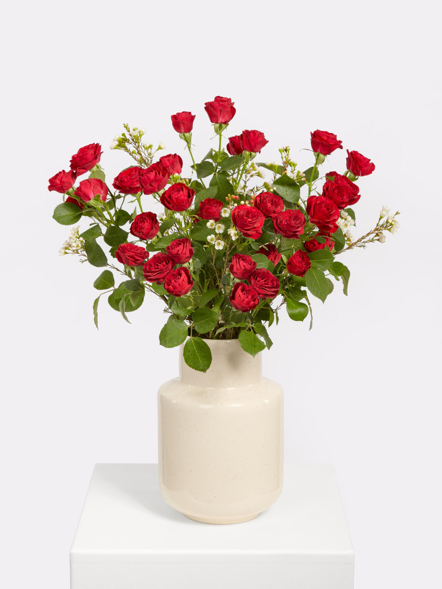 Scarlet Roses - Main Flowers: ROSES