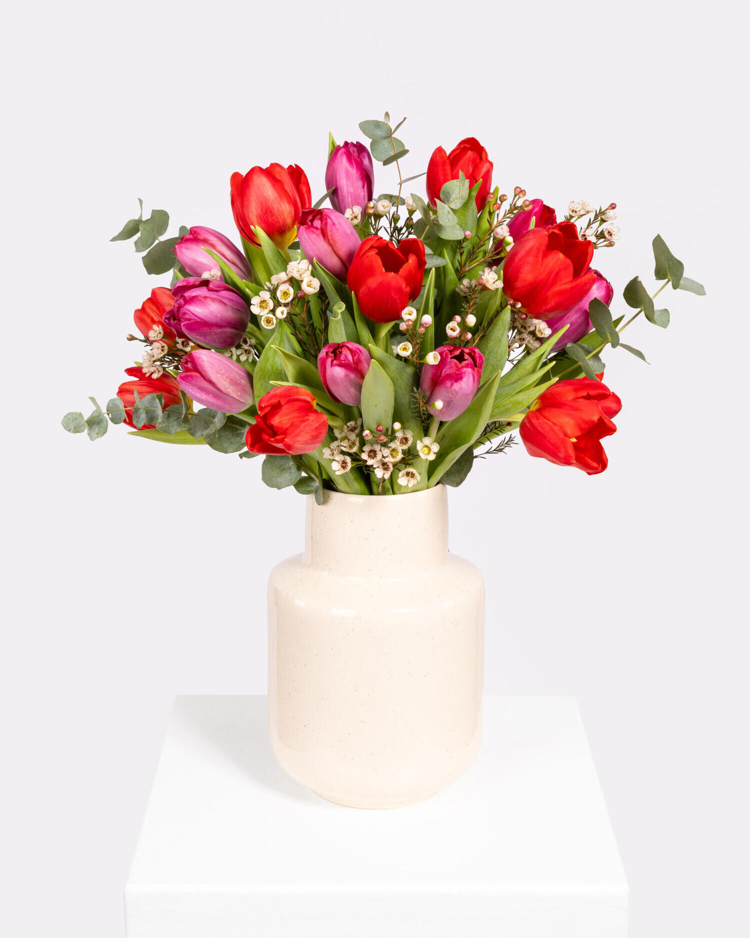 Tulpenliebe - Hauptblüte: Tulpen - Hauptfarbe: Rosa, Rot