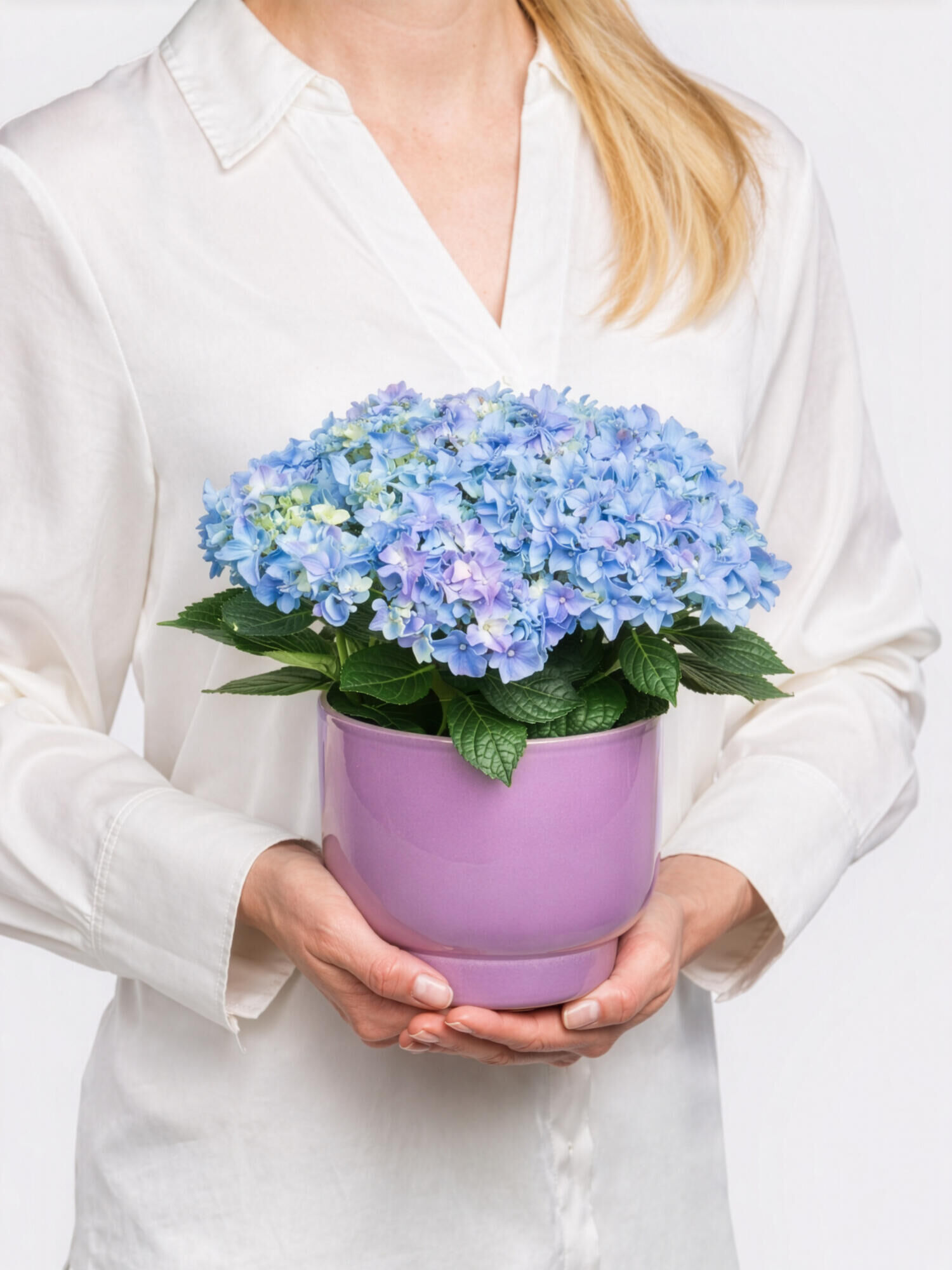 World's Best Mom - Main Colors: BLUE - Main Flowers: HYDRANGEA