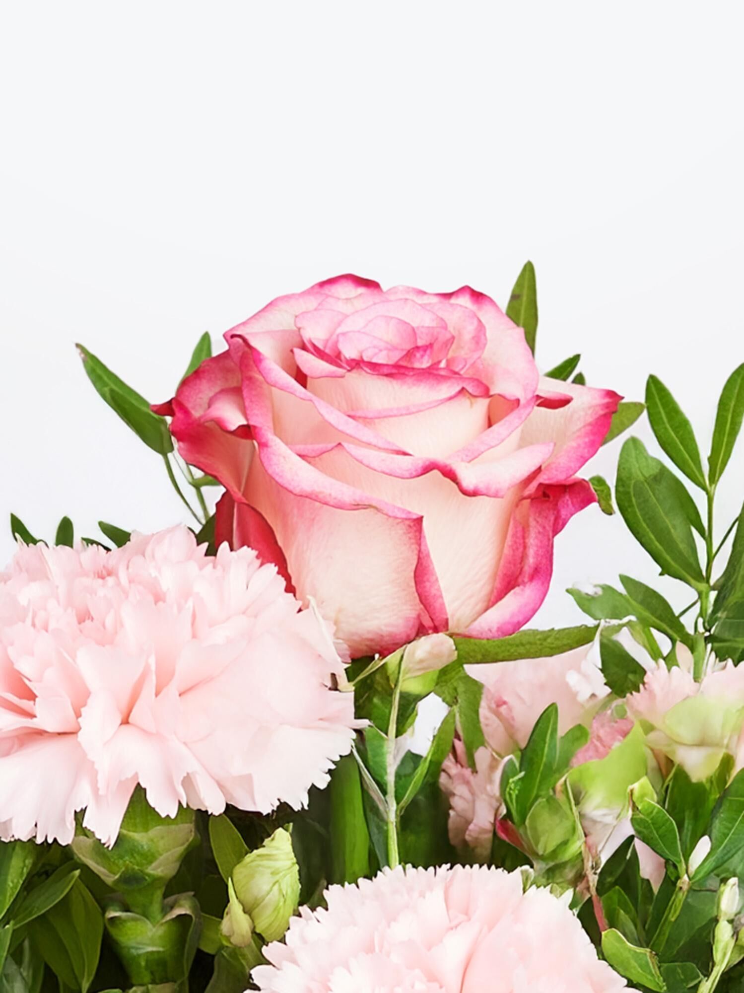 Strauß der Woche Strauß der Woche - Hauptblüte: Nelken, Rosen - Hauptfarbe: Rosa, Weiß