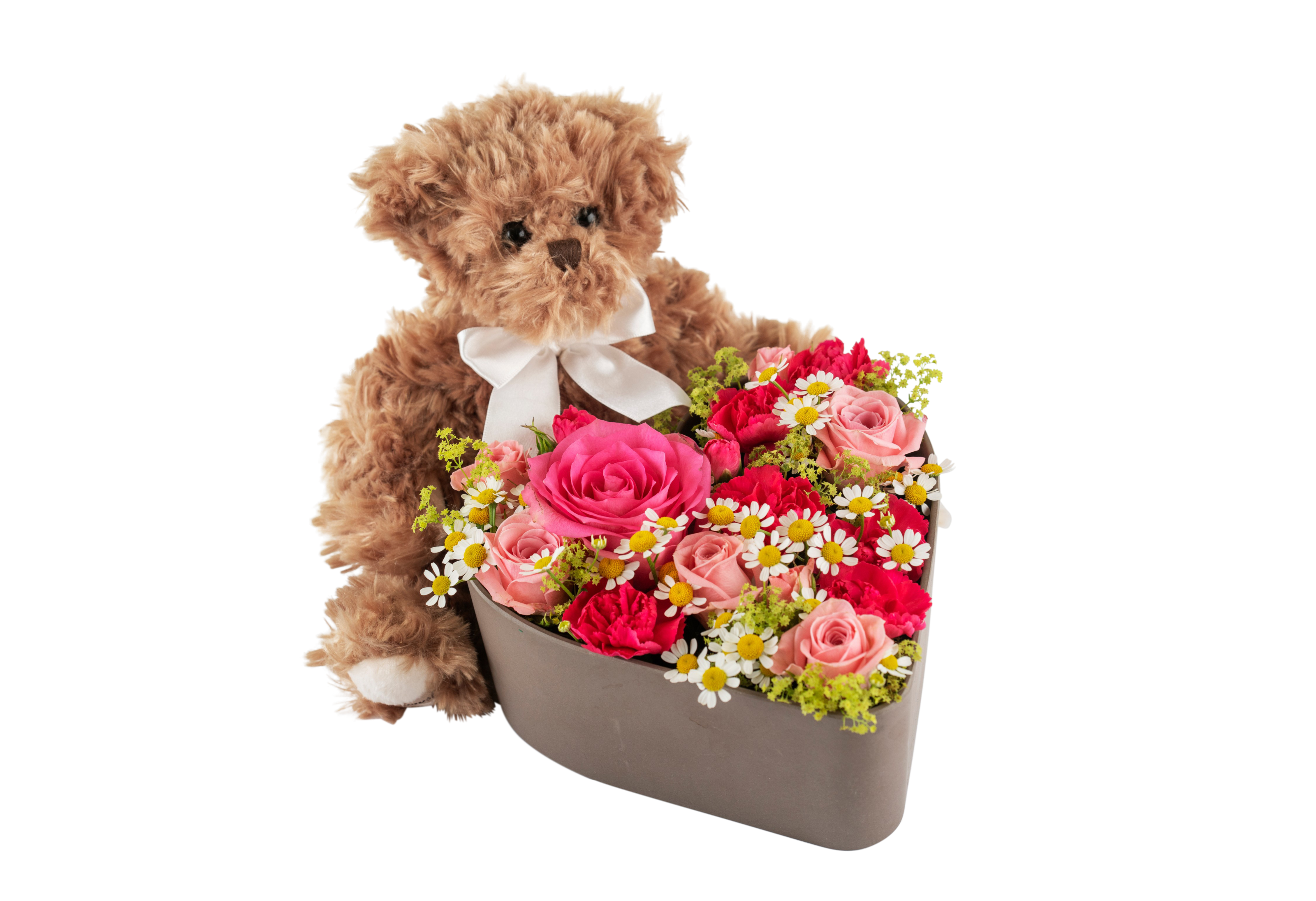 Loveheart and Teddy 250338