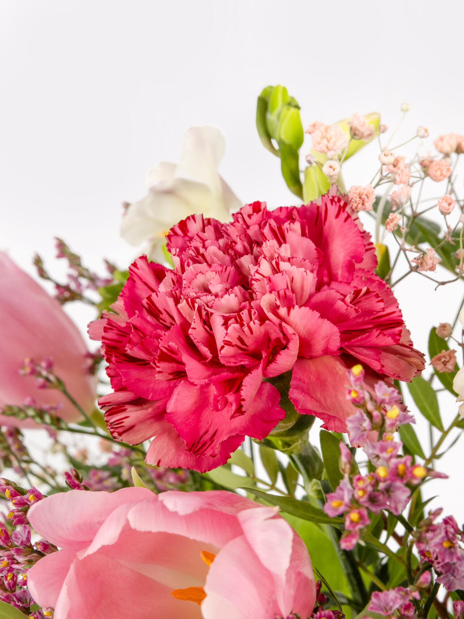 Sweet as Candy - Hauptblüte: Freesien, Germini, Nelken, Tulpen - Hauptfarbe: Rosa