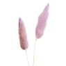 Trockenblumen