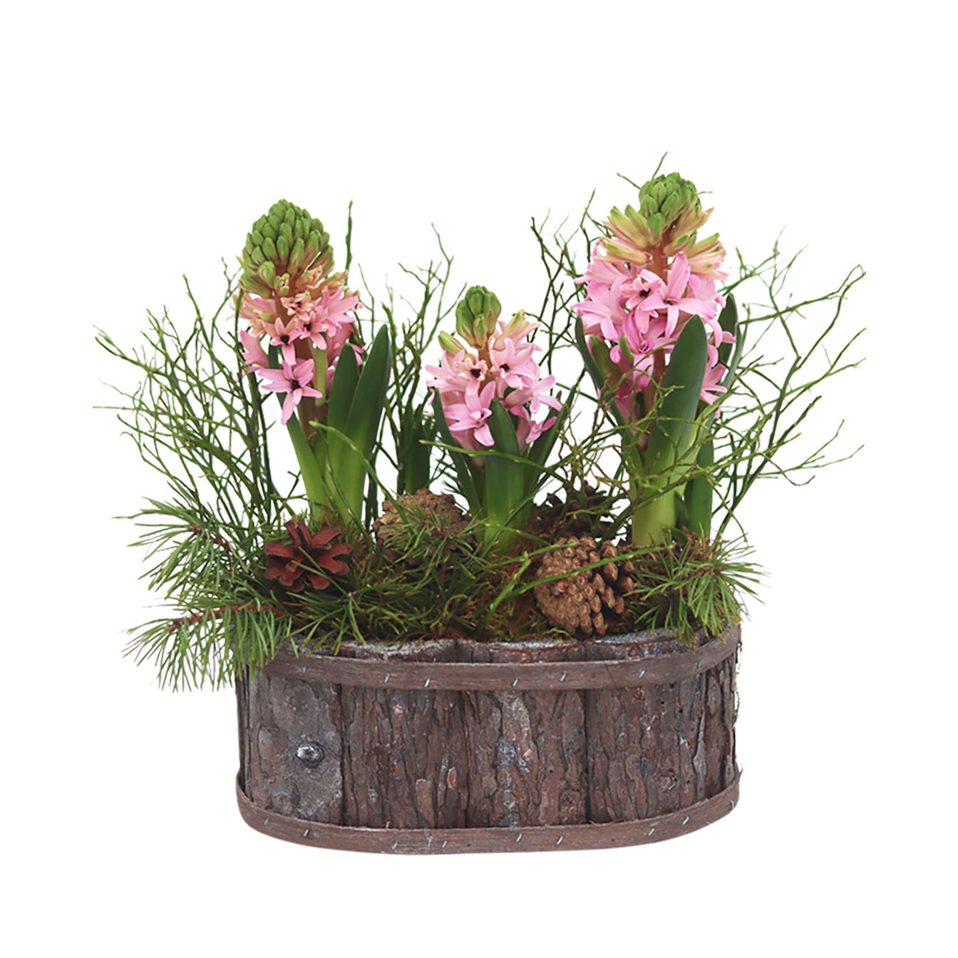 Fragrance of the atmosphere, pink