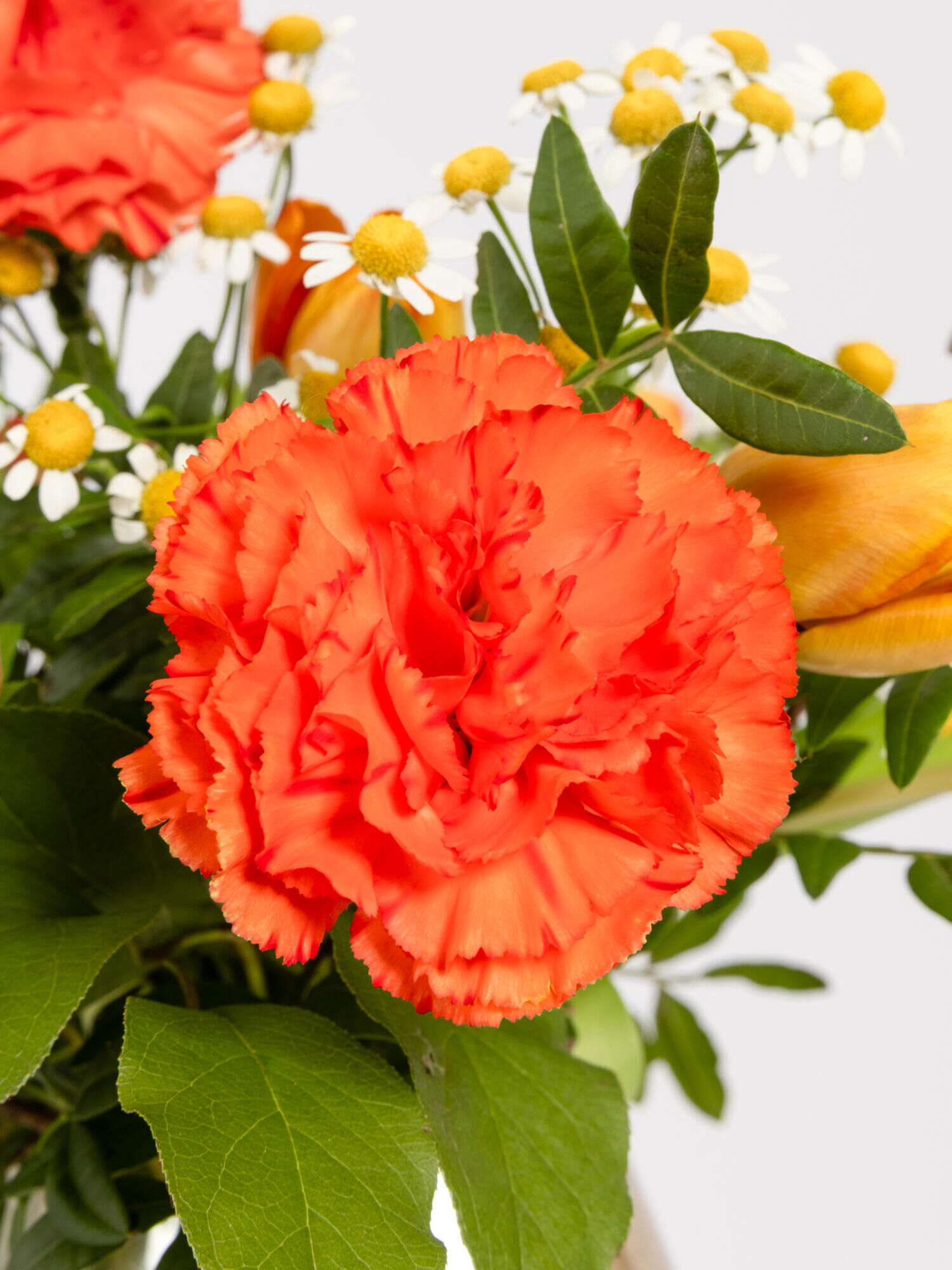 Spring Sunrise - Hauptblüte: Nelken, Tulpen - Hauptfarbe: Apricot, Orange