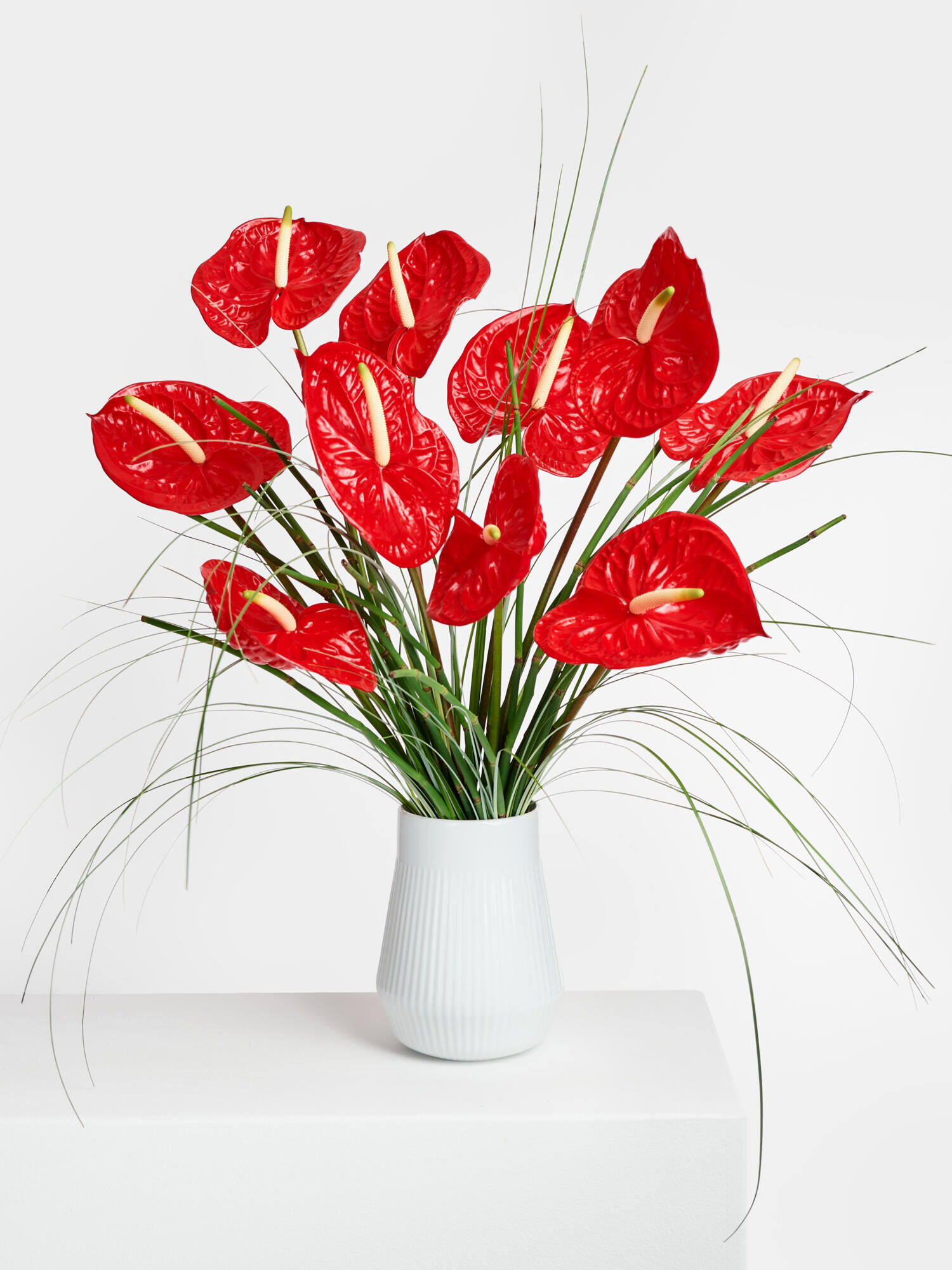 Rhythms of Flamenco - Hauptfarbe: Rot