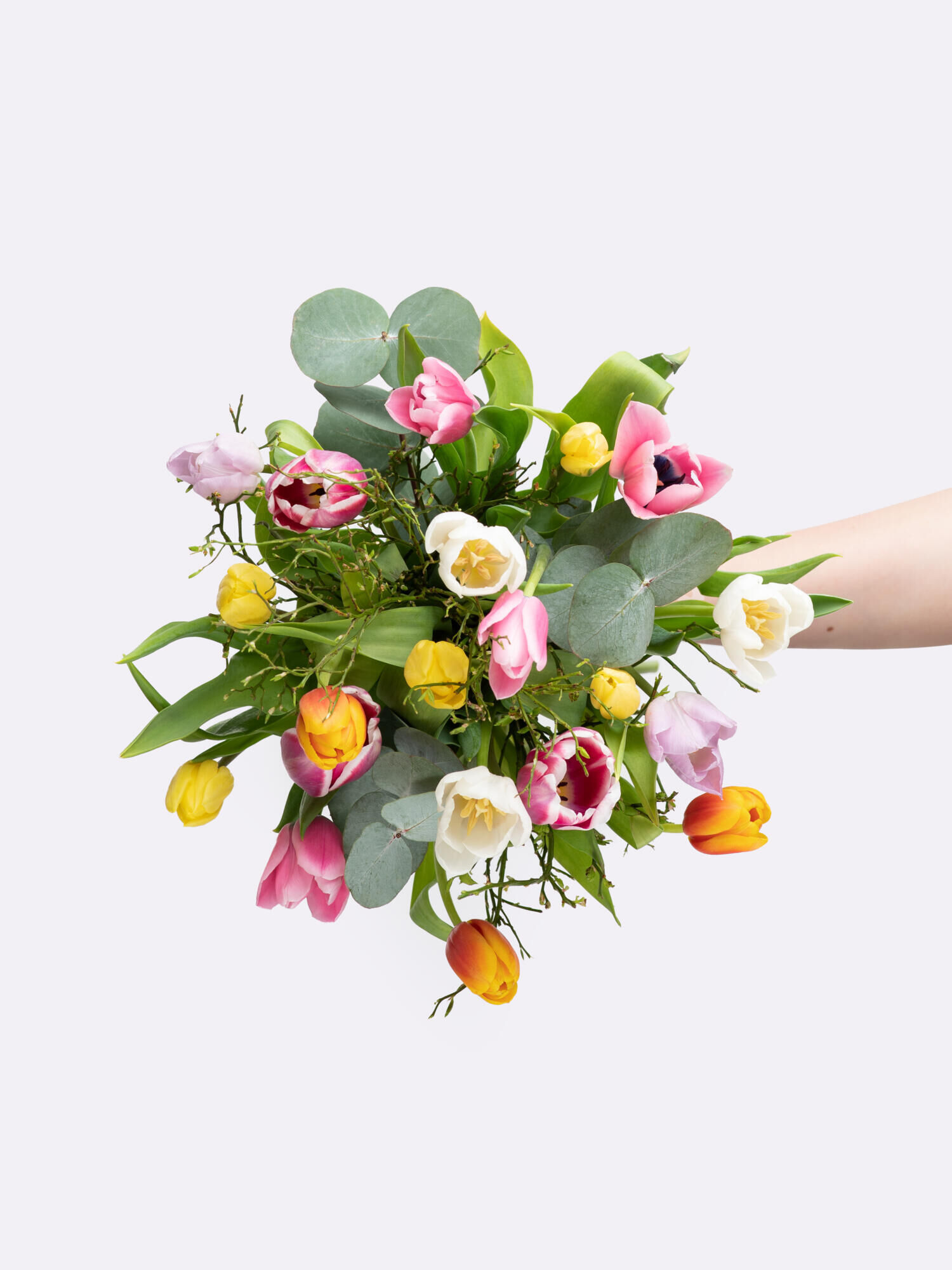 Frisch und Fröhlich - Hauptblüte: Tulpen - Hauptfarbe: Bunt