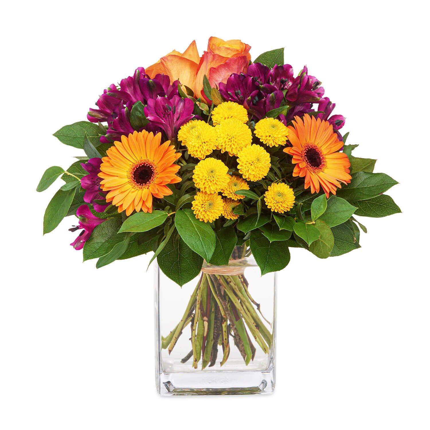 Messengers of optimism