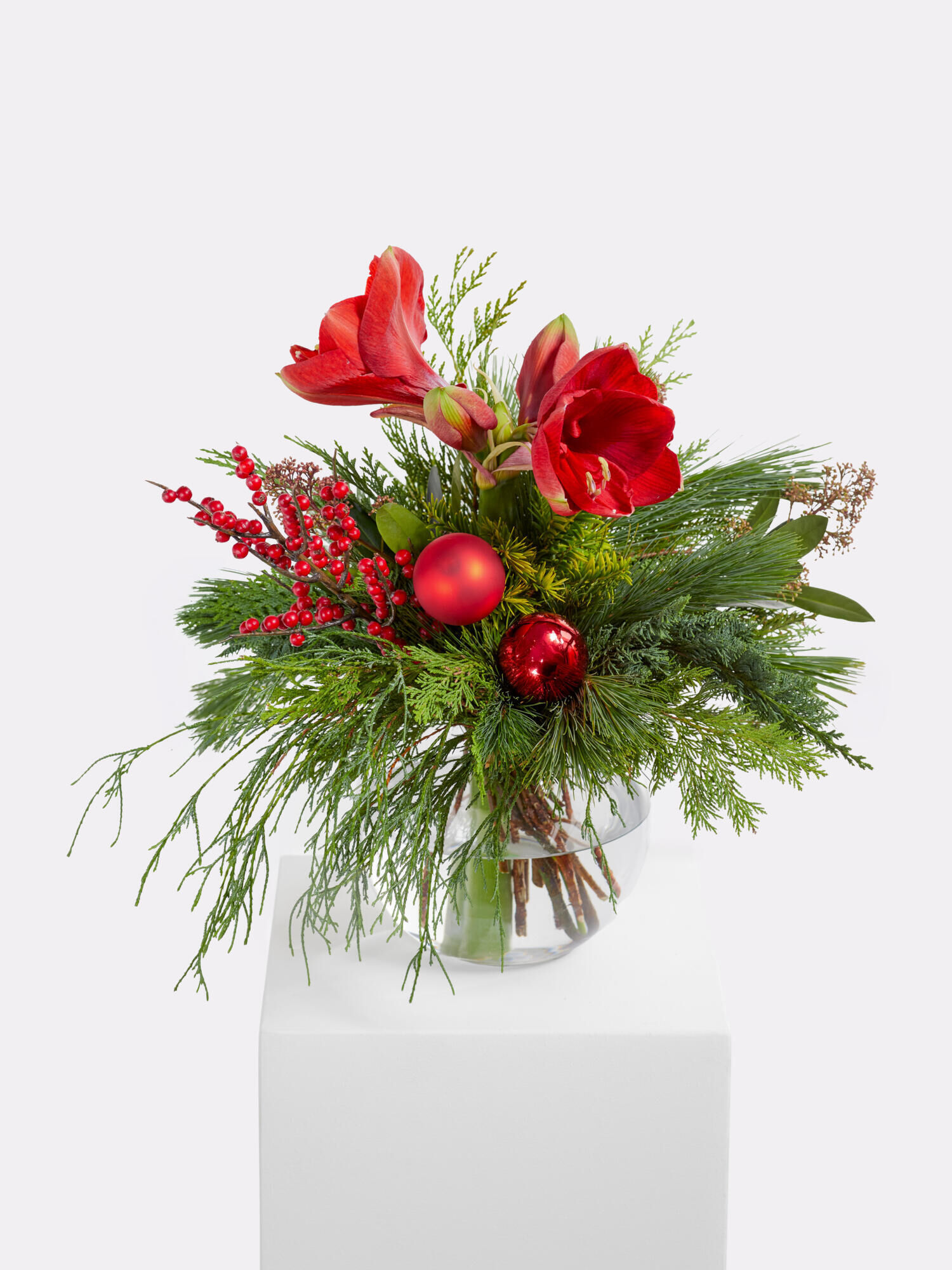 Winter Botschaft - Hauptblüte: Amaryllis - Hauptfarbe: Rot