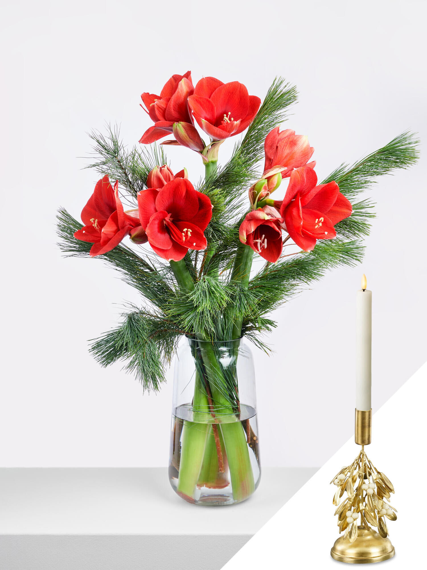 Red Christmas Delight - Hauptblüte: Amaryllis - Hauptfarbe: Rot