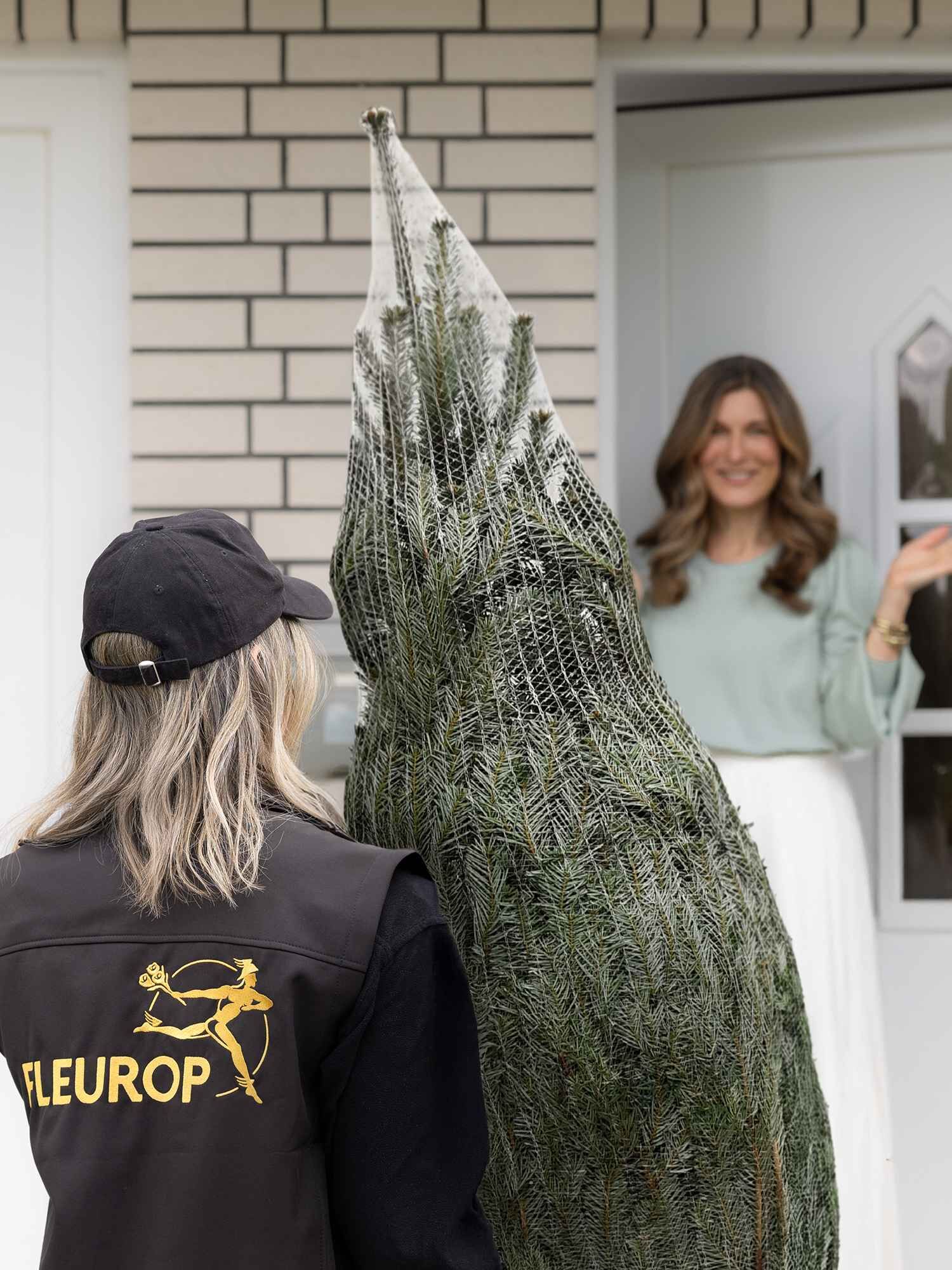 Nordmanntanne vom Floristen, 175 cm  - Hauptfarbe: Grün