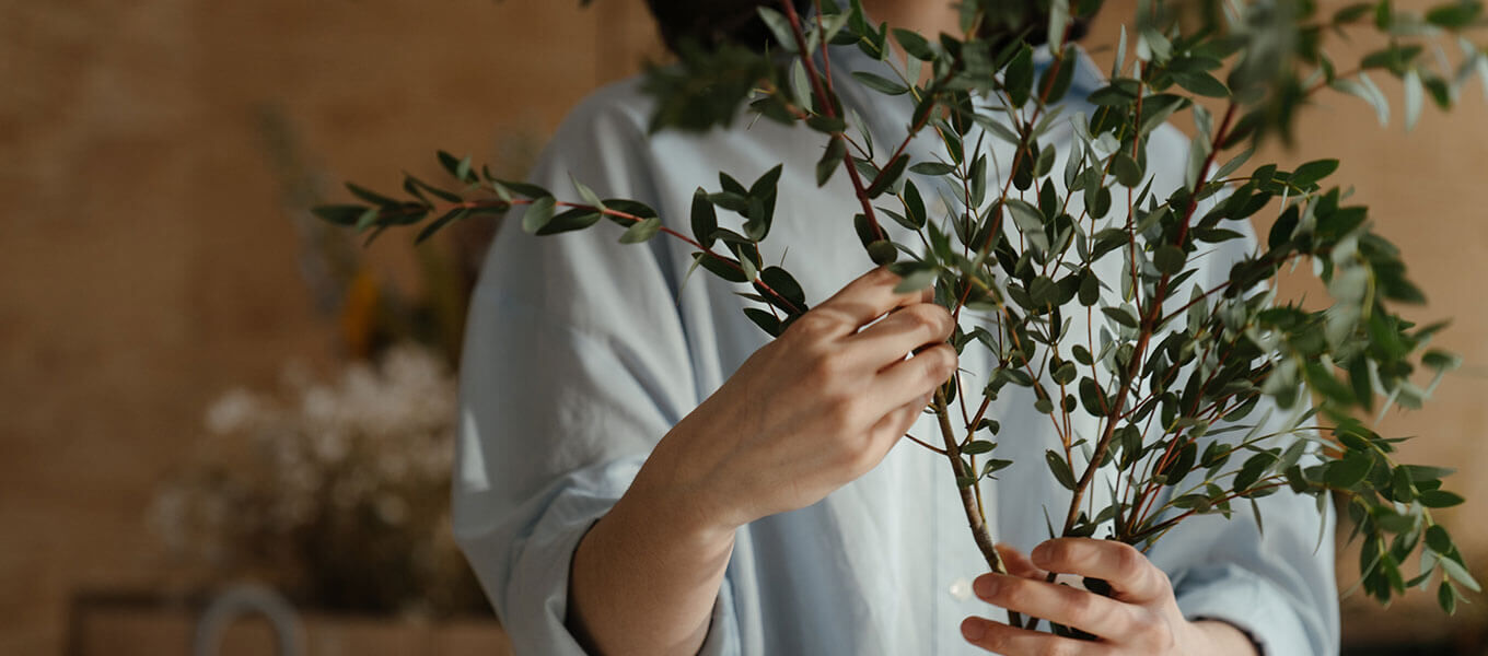 Eine Frau hält eine Strauch Olive in der Hand